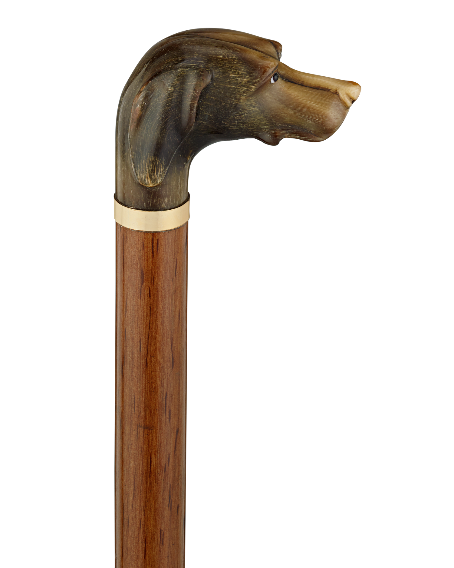 Carved Horn Dog Knob Cane