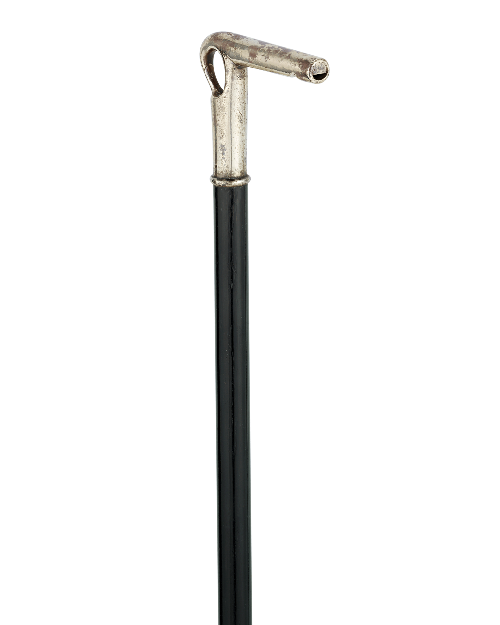 Dog Walking Whistle Cane