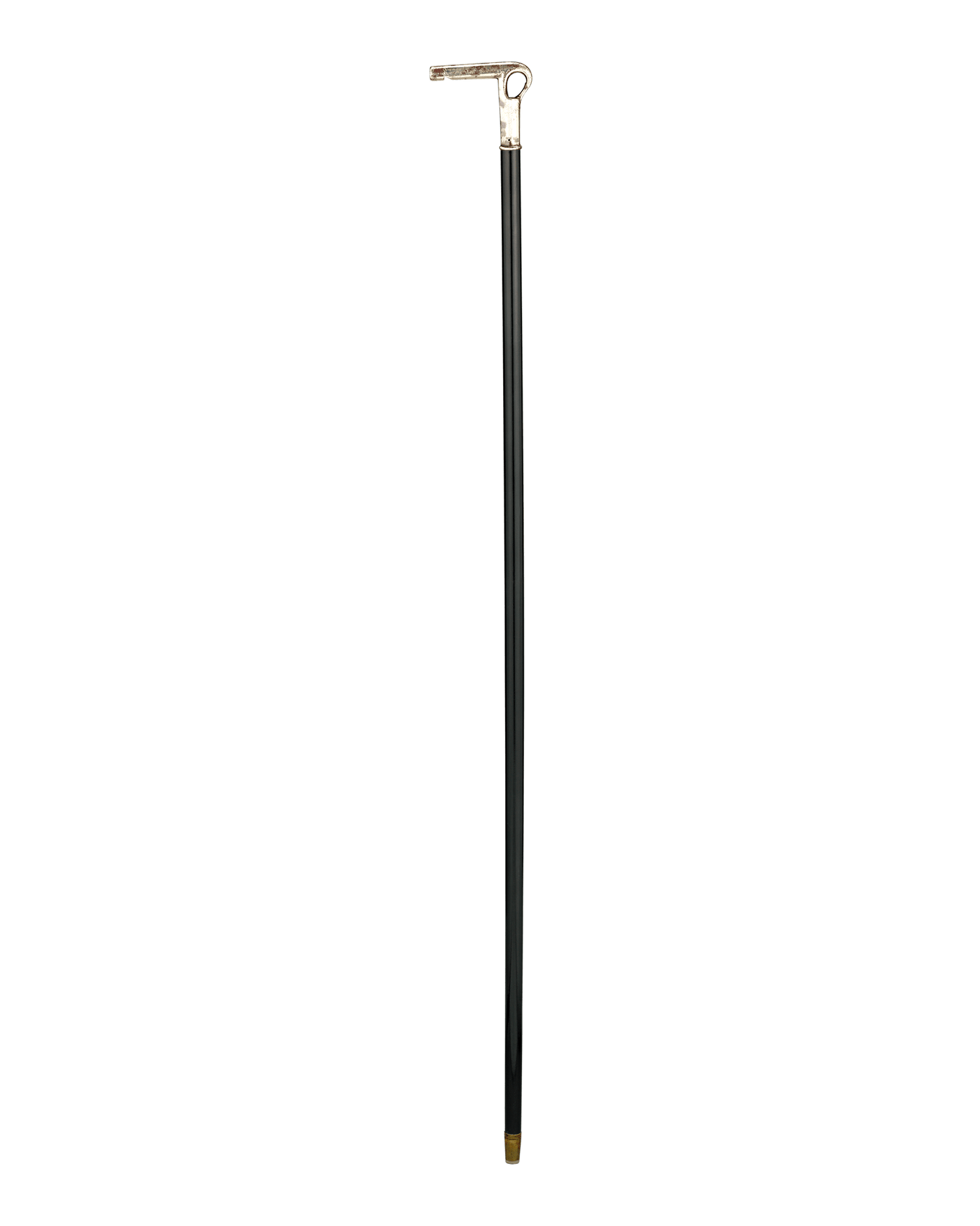 Dog Walking Whistle Cane