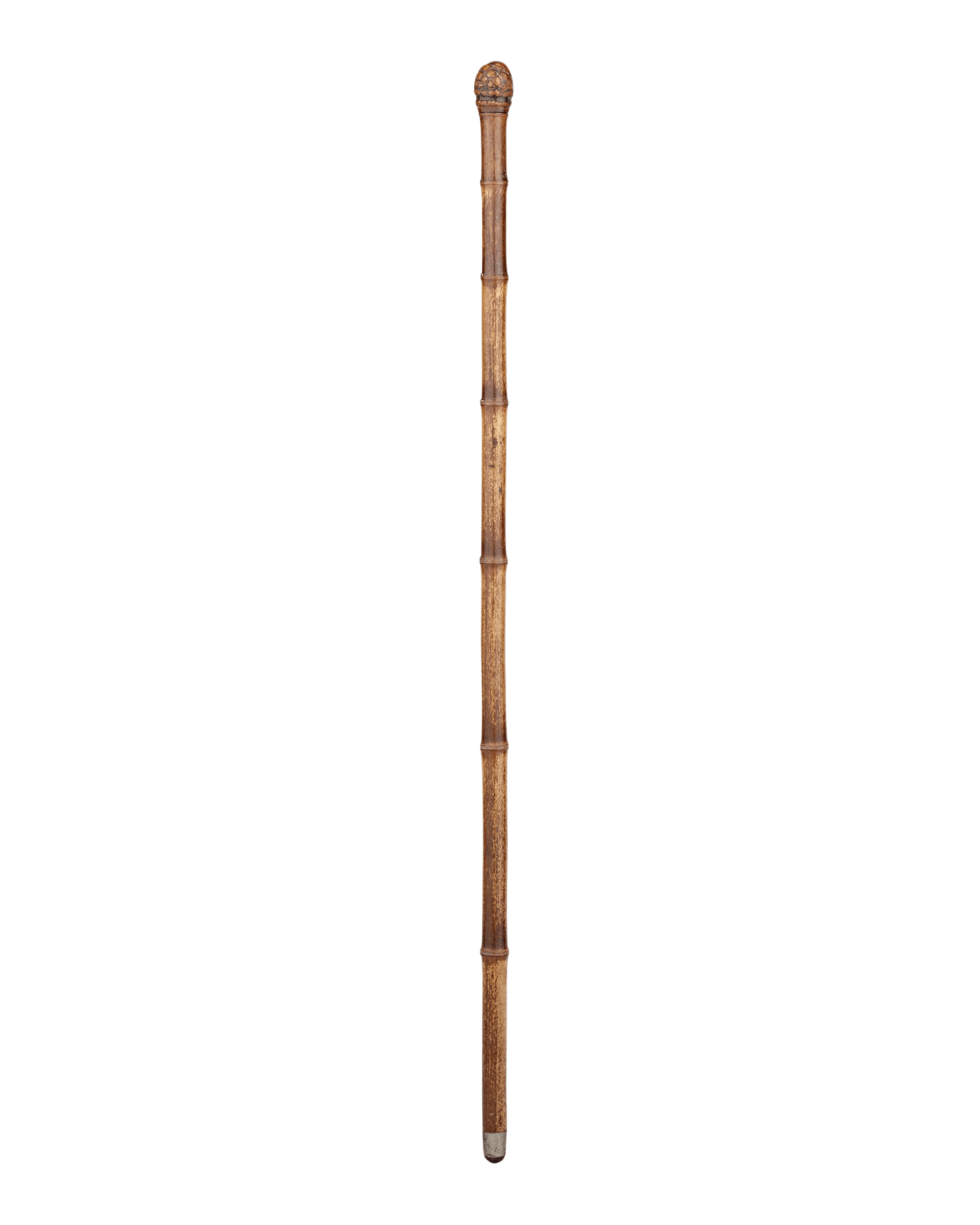 Horse measure cane in Bamboo