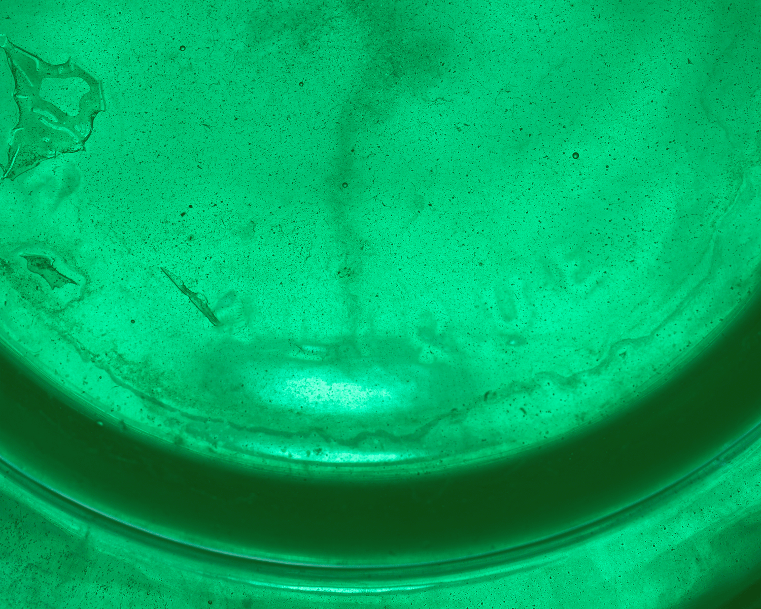 Green Ronces Vase by René Lalique