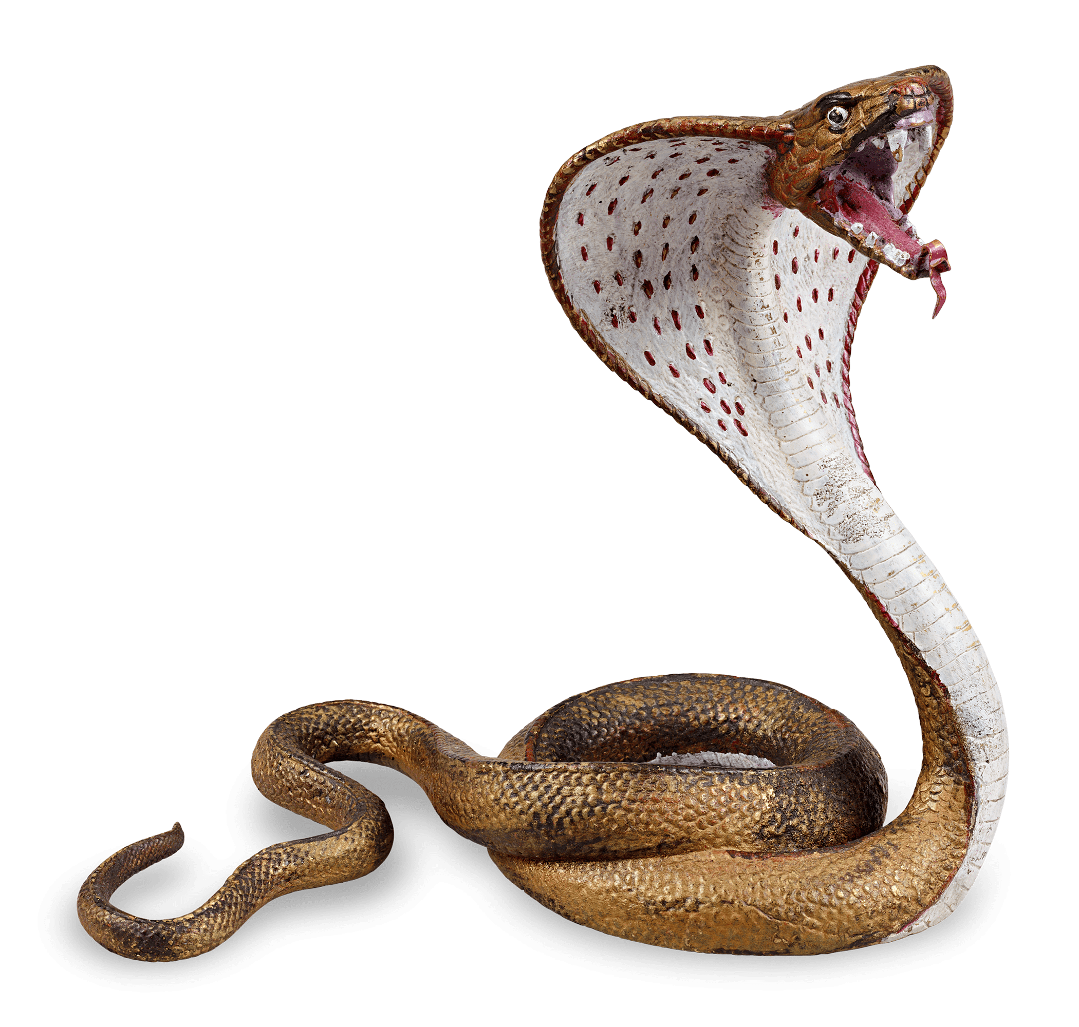 Bronze Cobra by Franz Bergmann