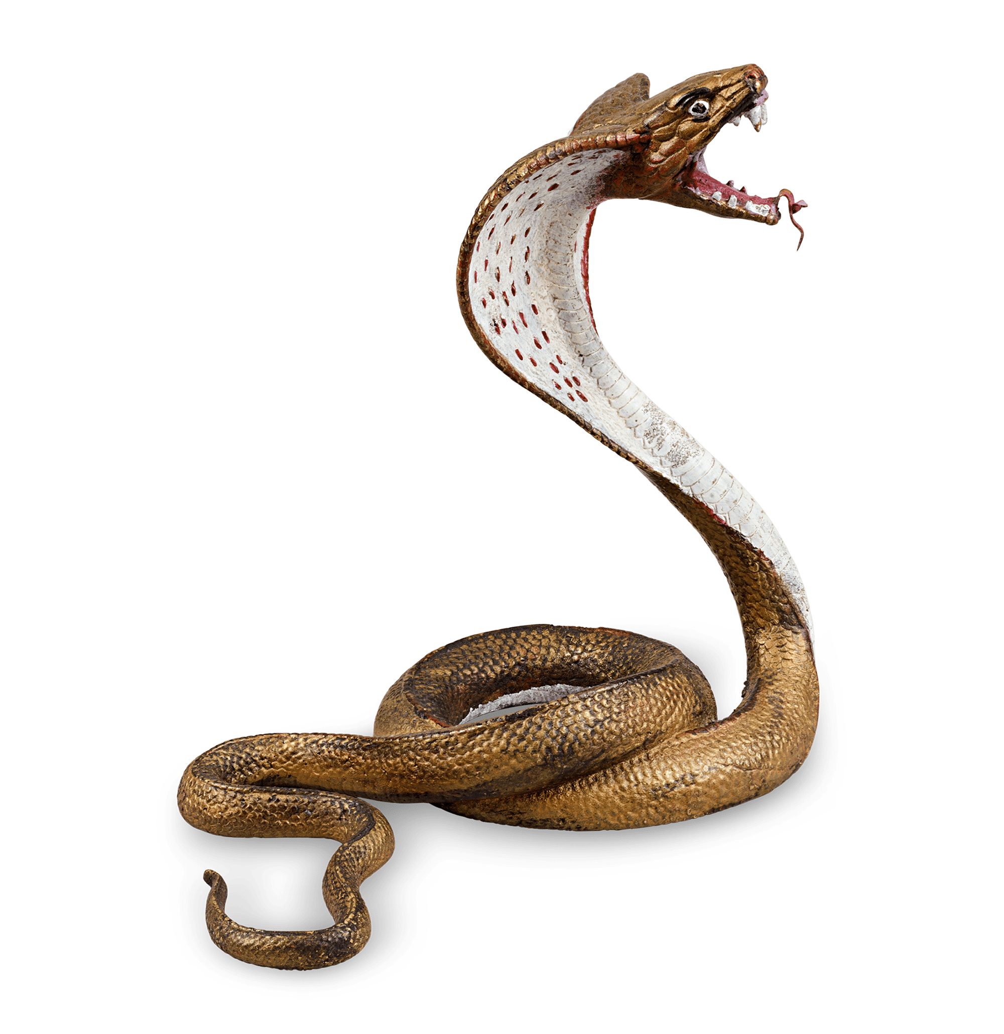 Bronze Cobra by Franz Bergmann