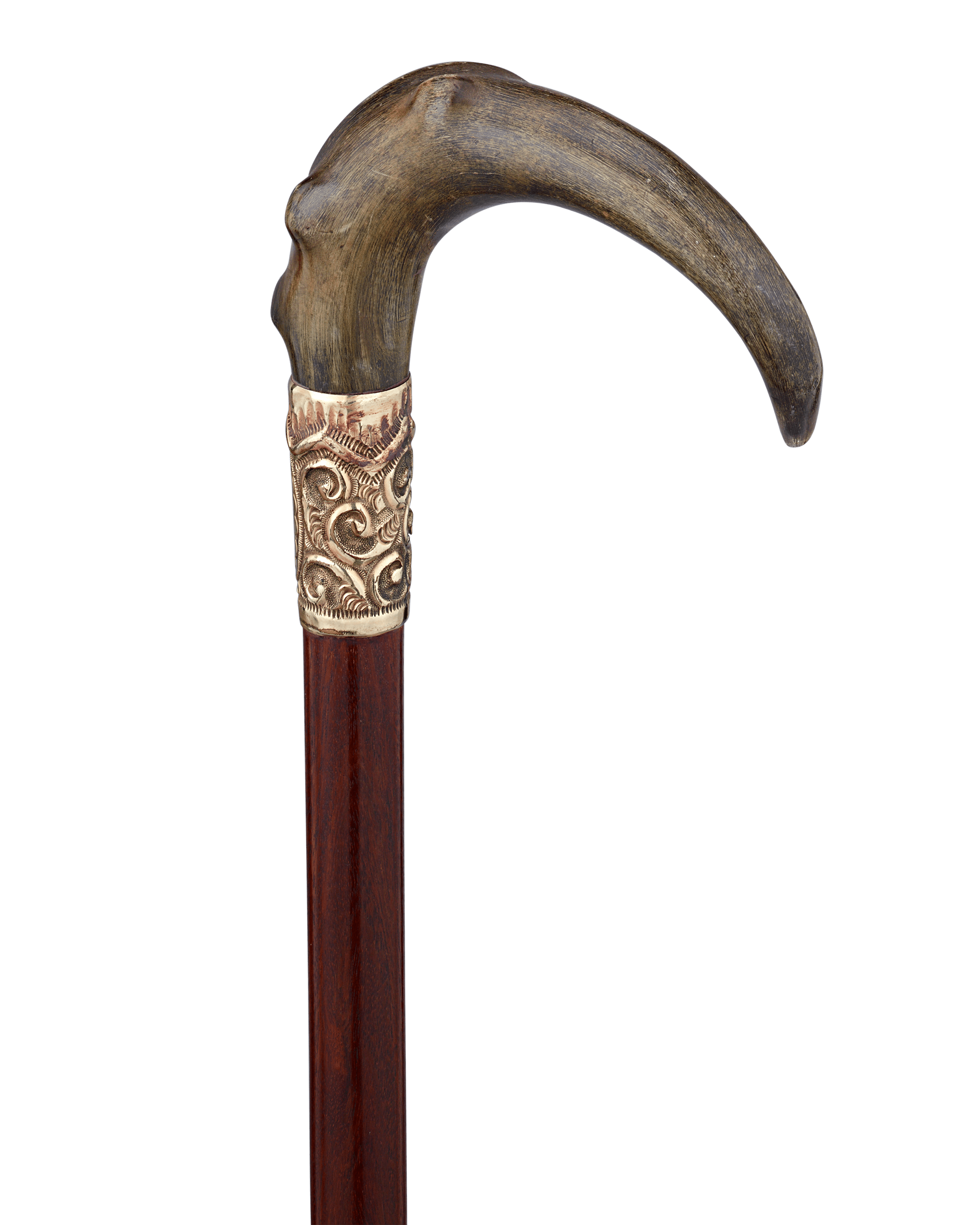 Horn Crook Cane