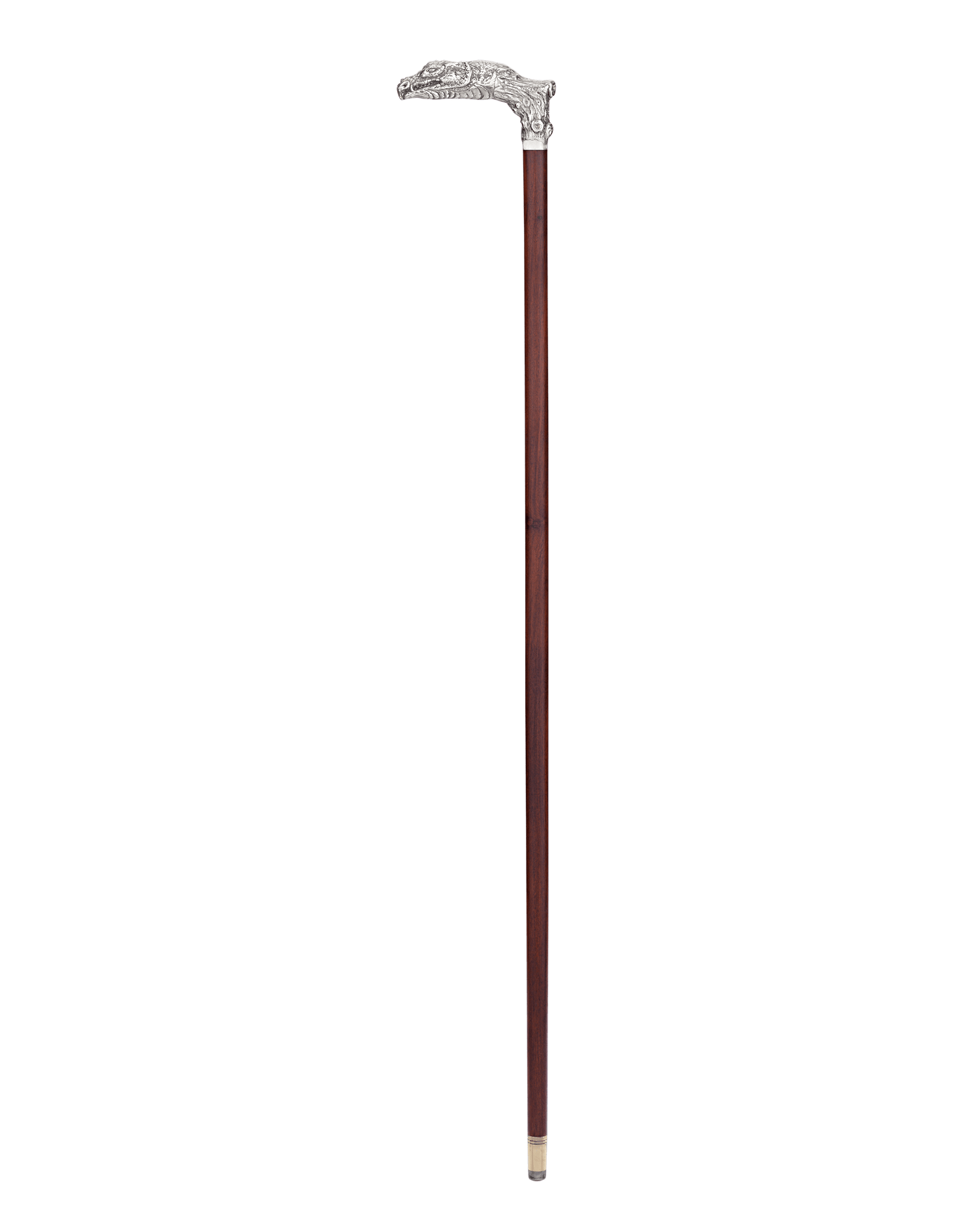 Silver Dragon Cane