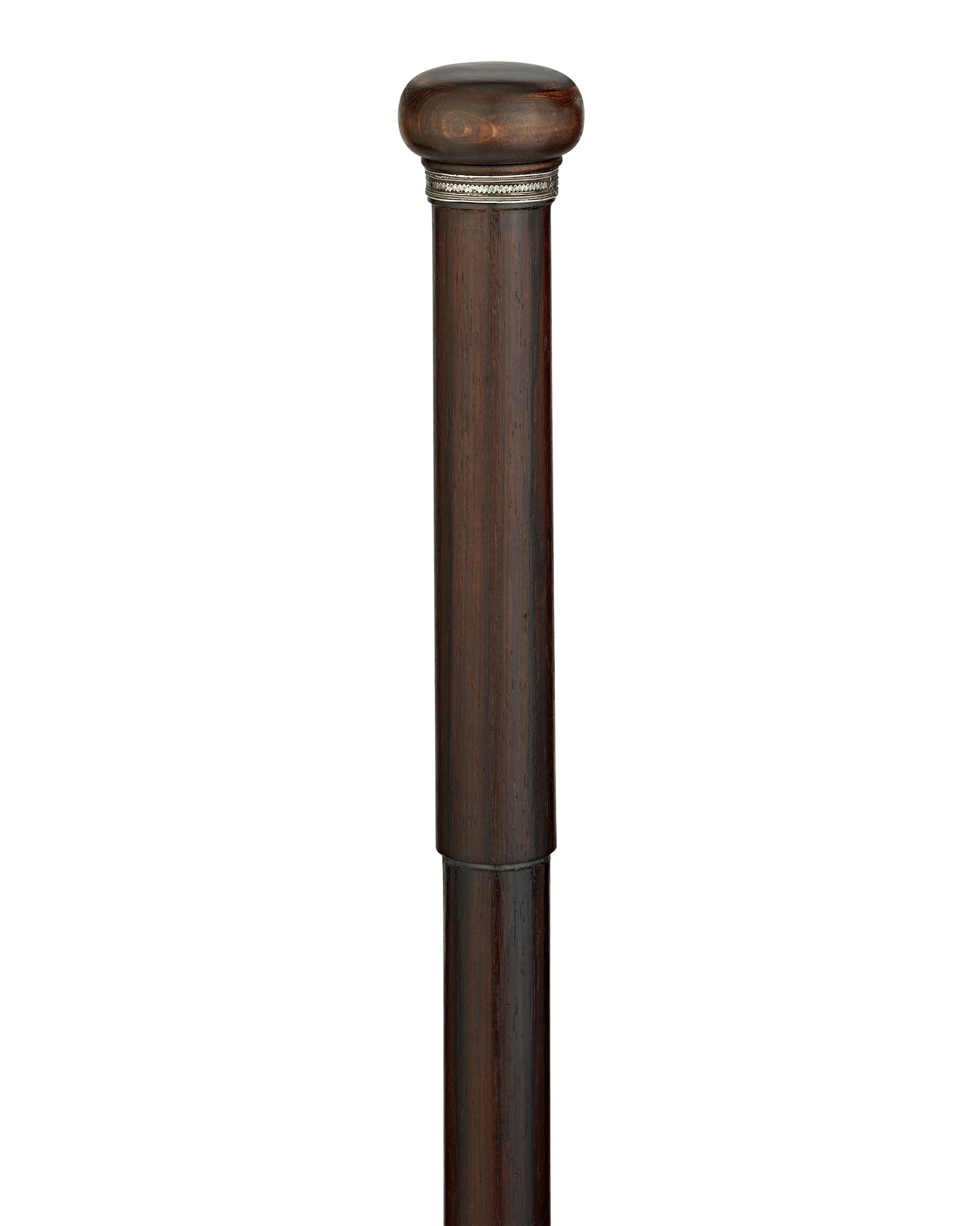 Artist's Easel Cane