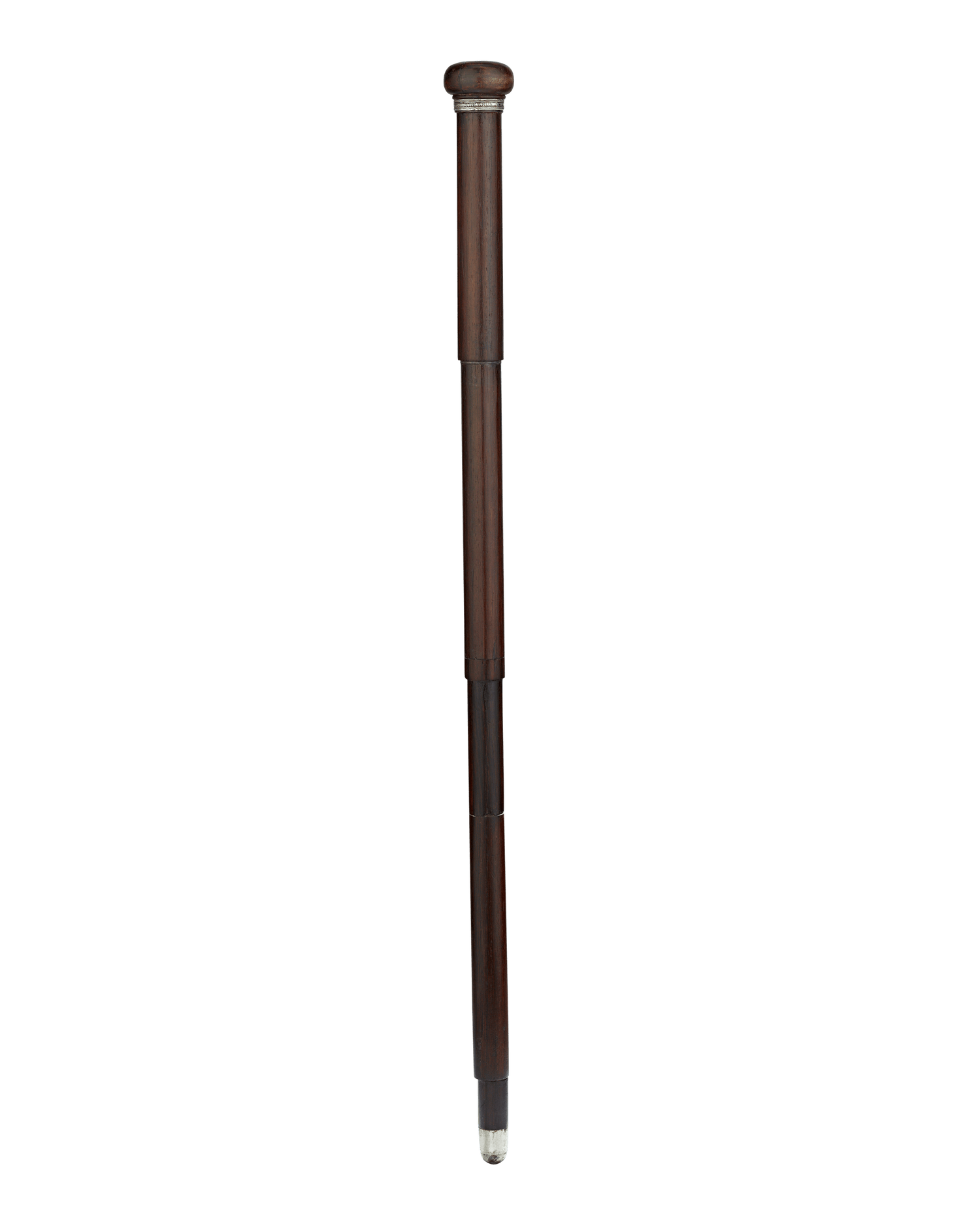 Artist's Easel Cane