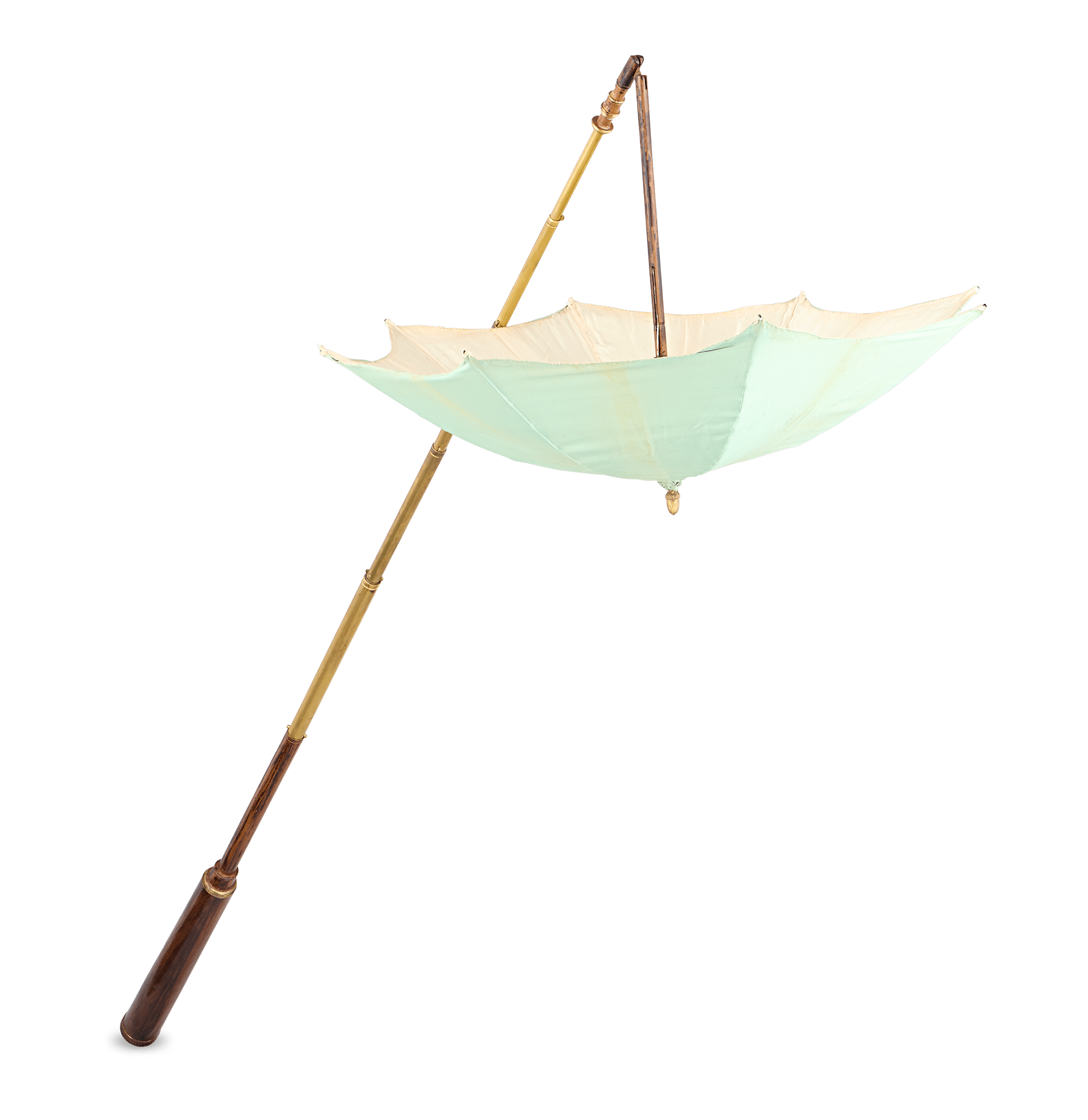 Entomologist's Cane