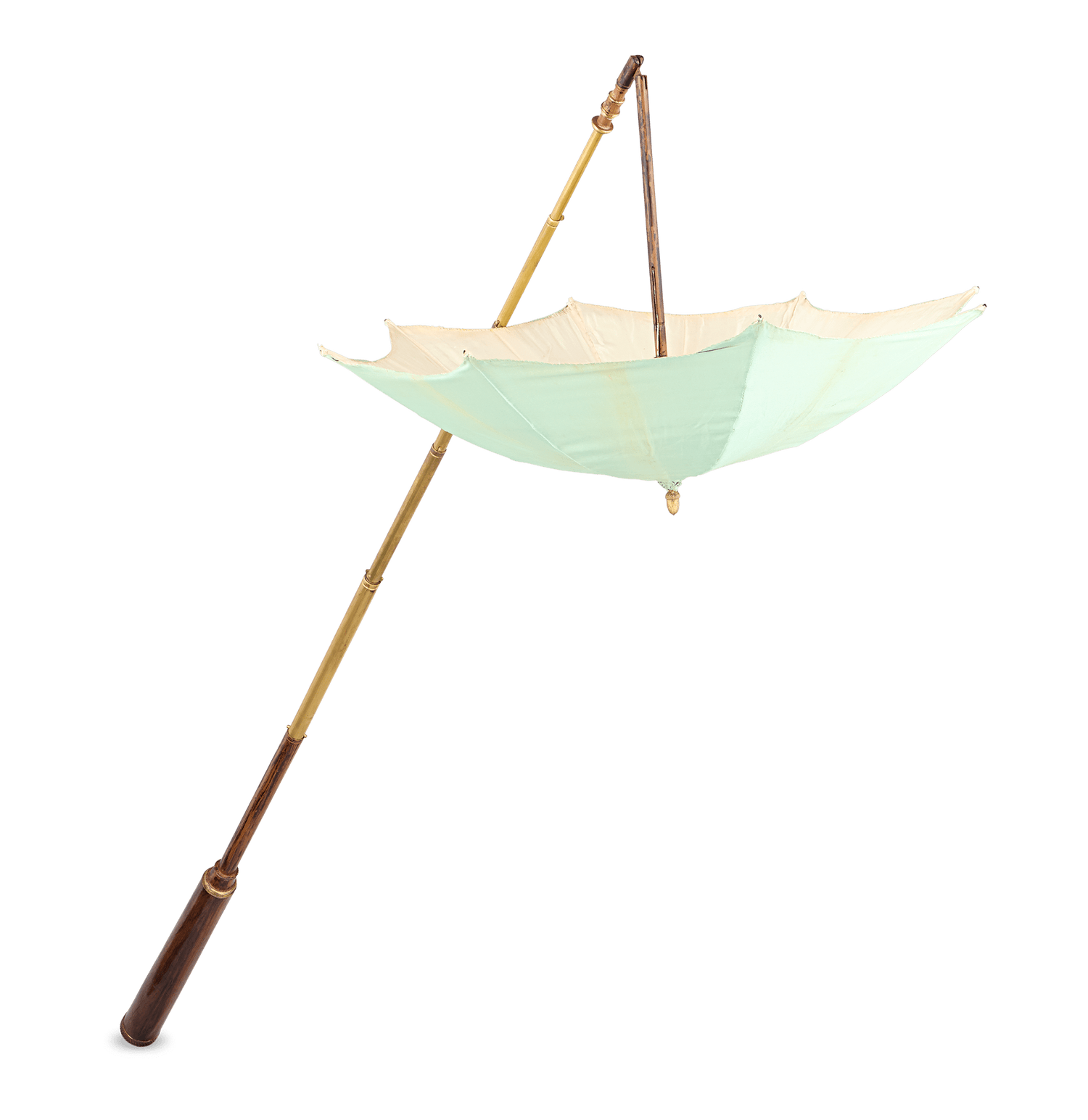 Entomologist's Cane