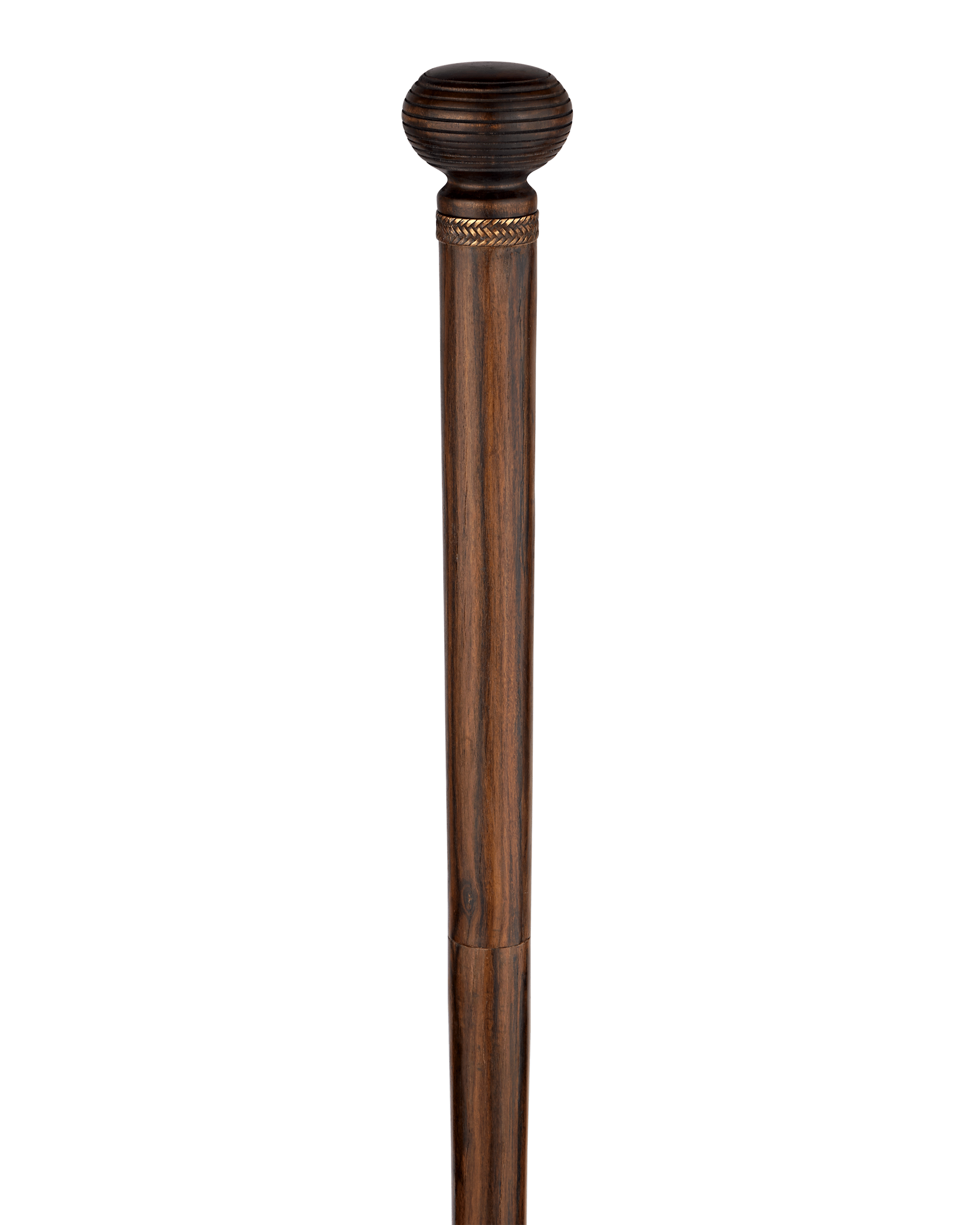 Entomologist's Cane