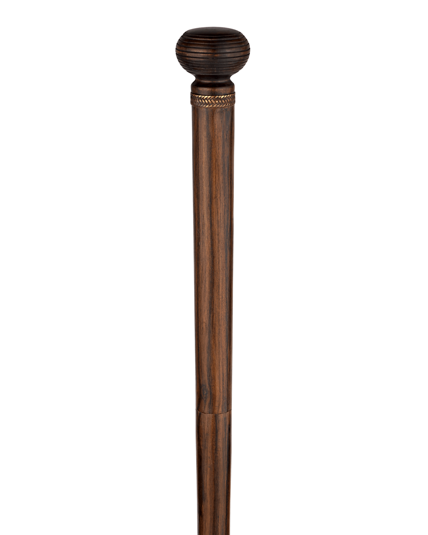 Entomologist's Cane