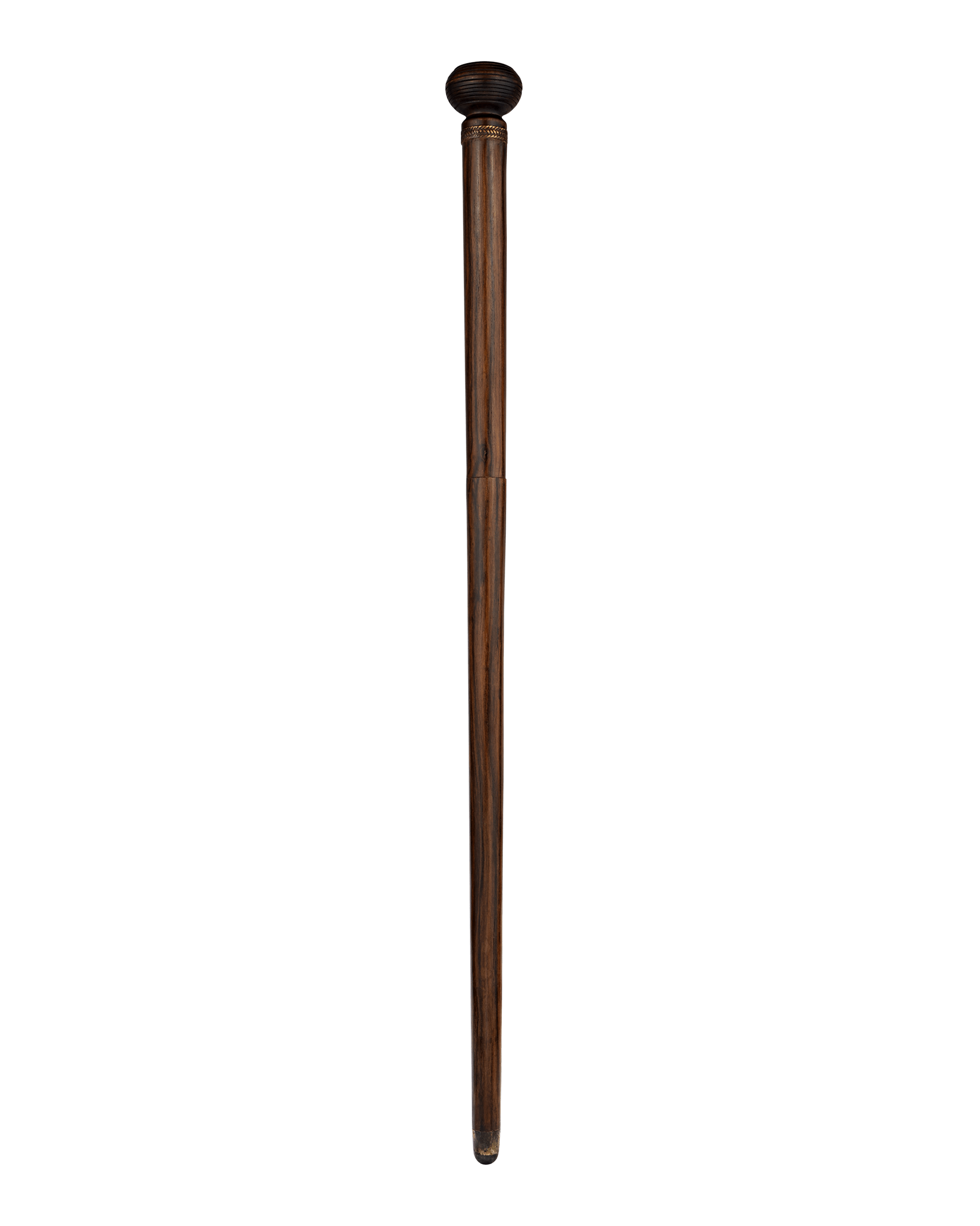 Entomologist's Cane