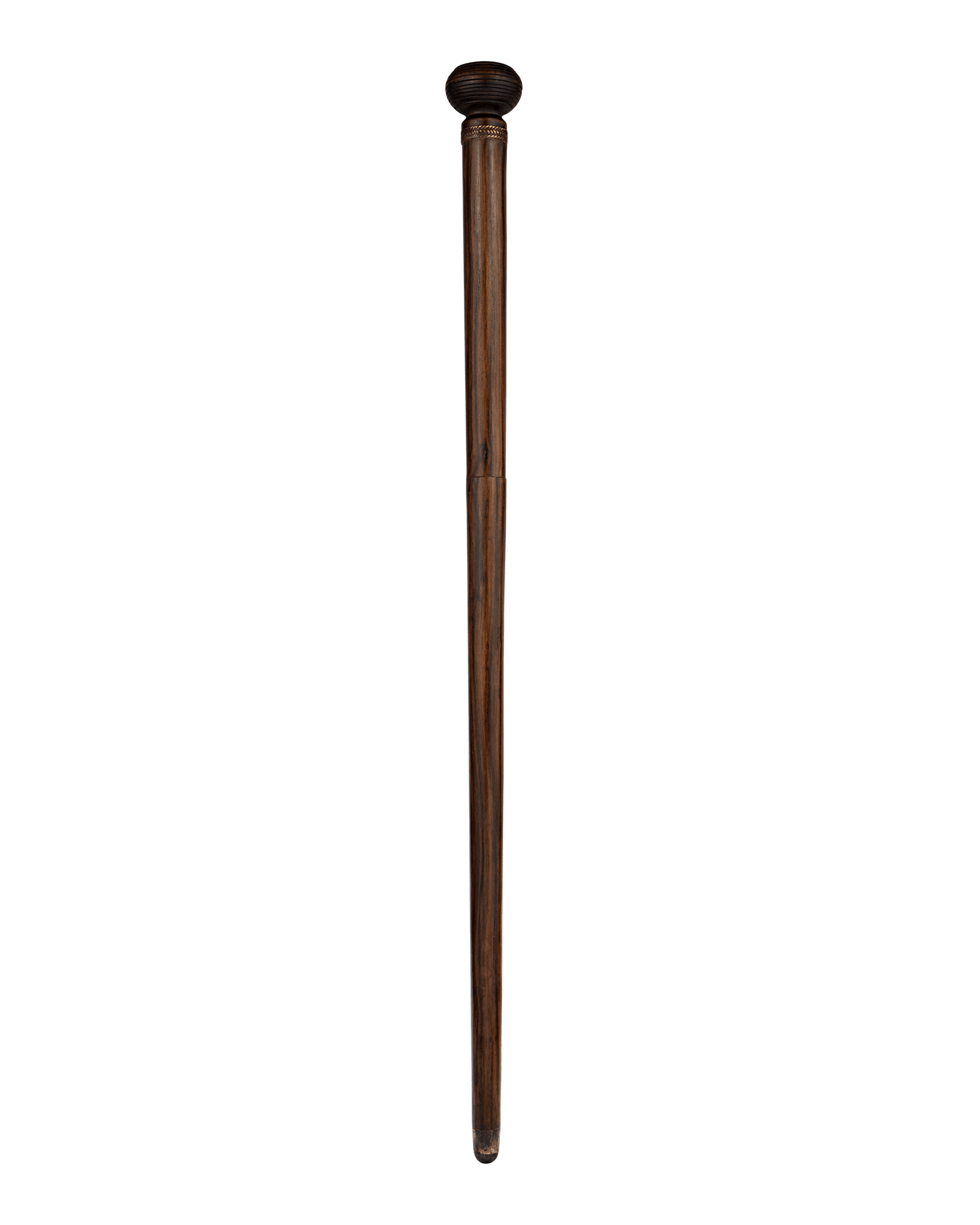 Entomologist's Cane