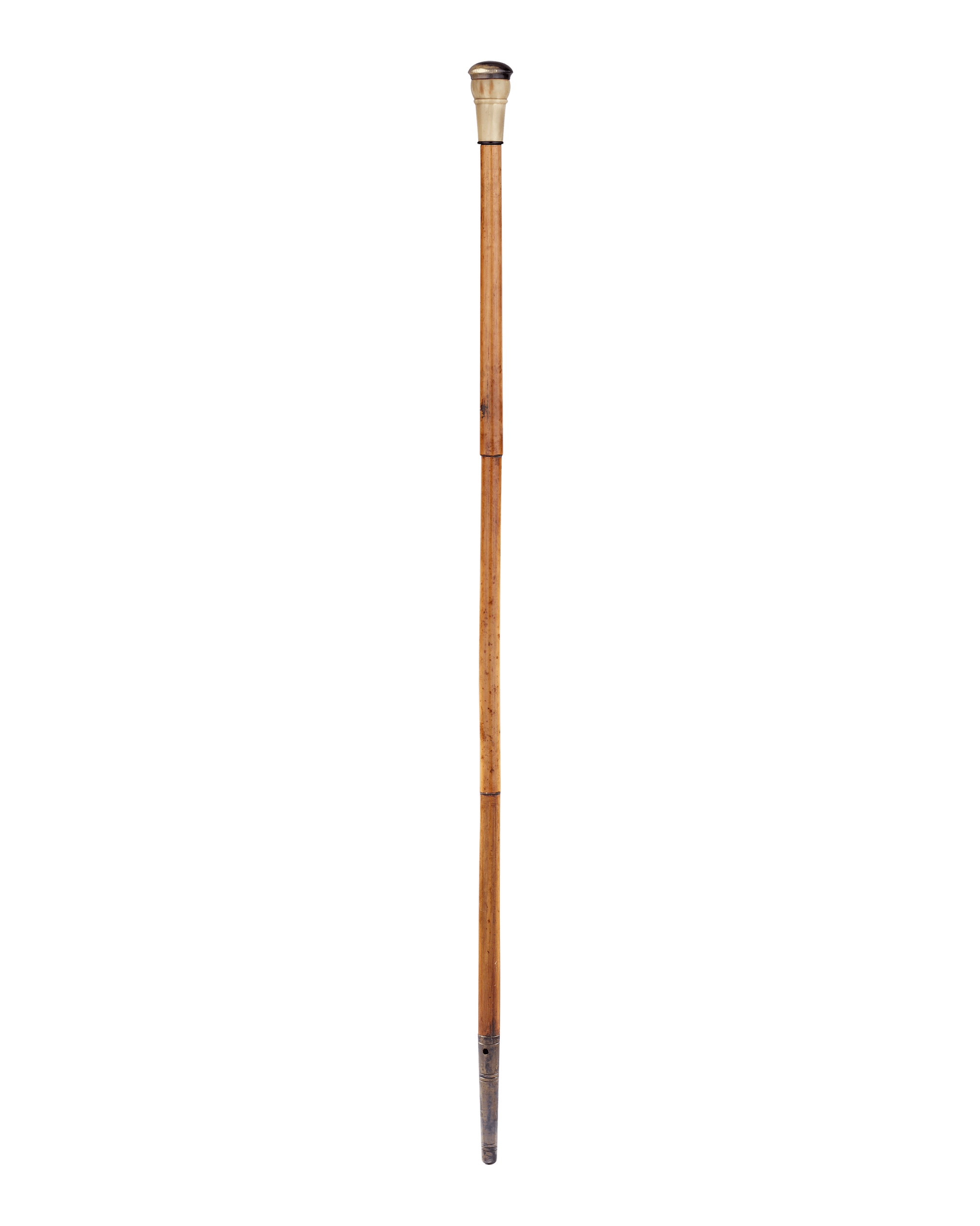 Blowgun Cane
