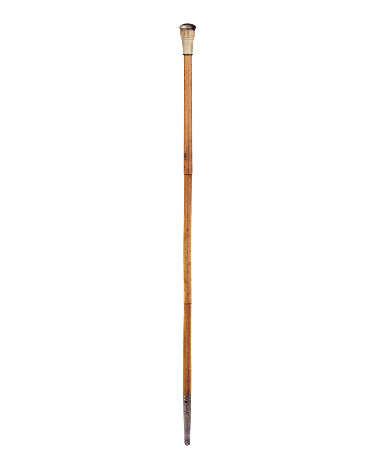 Blowgun Cane