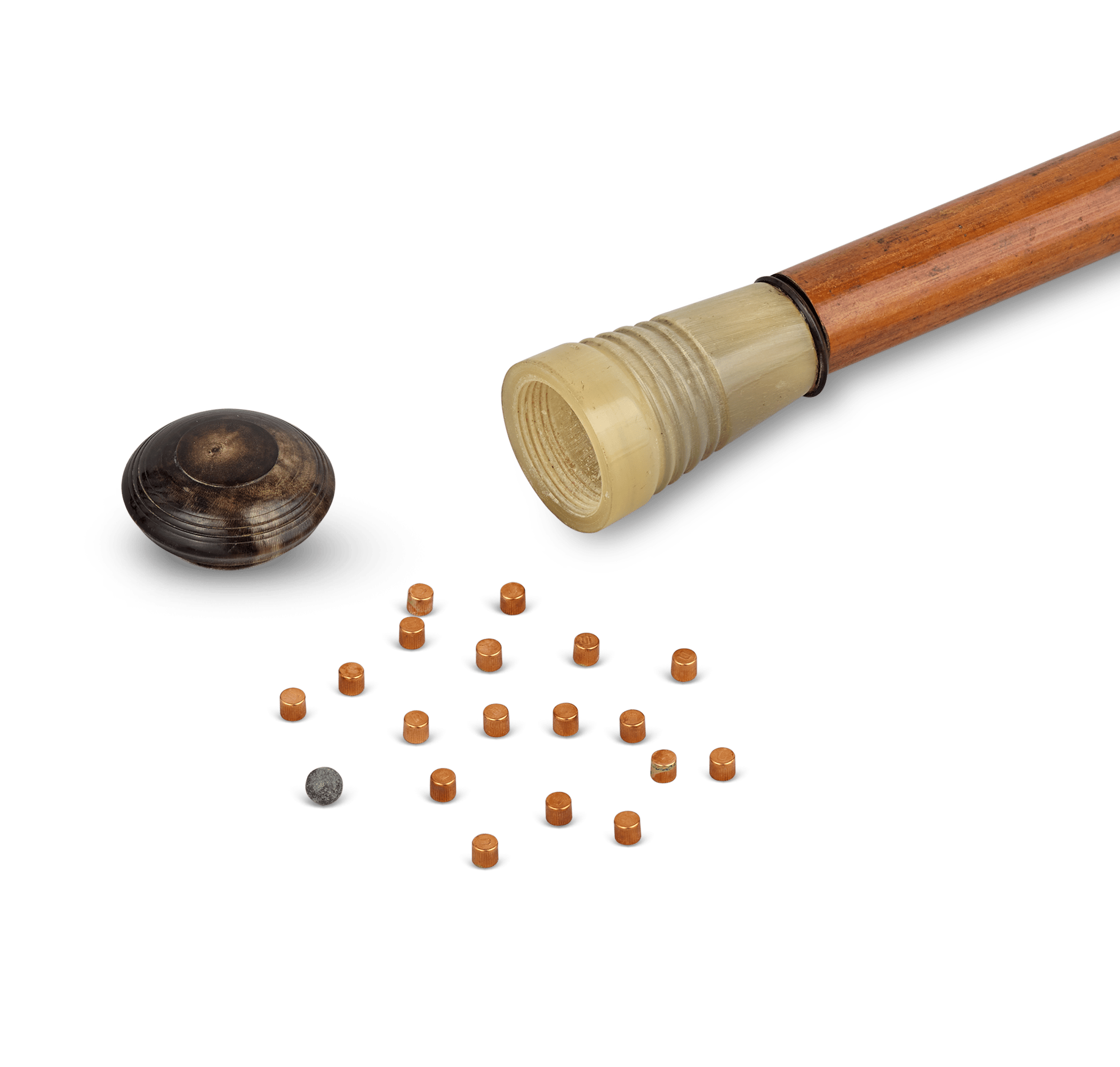 Blowgun System Cane