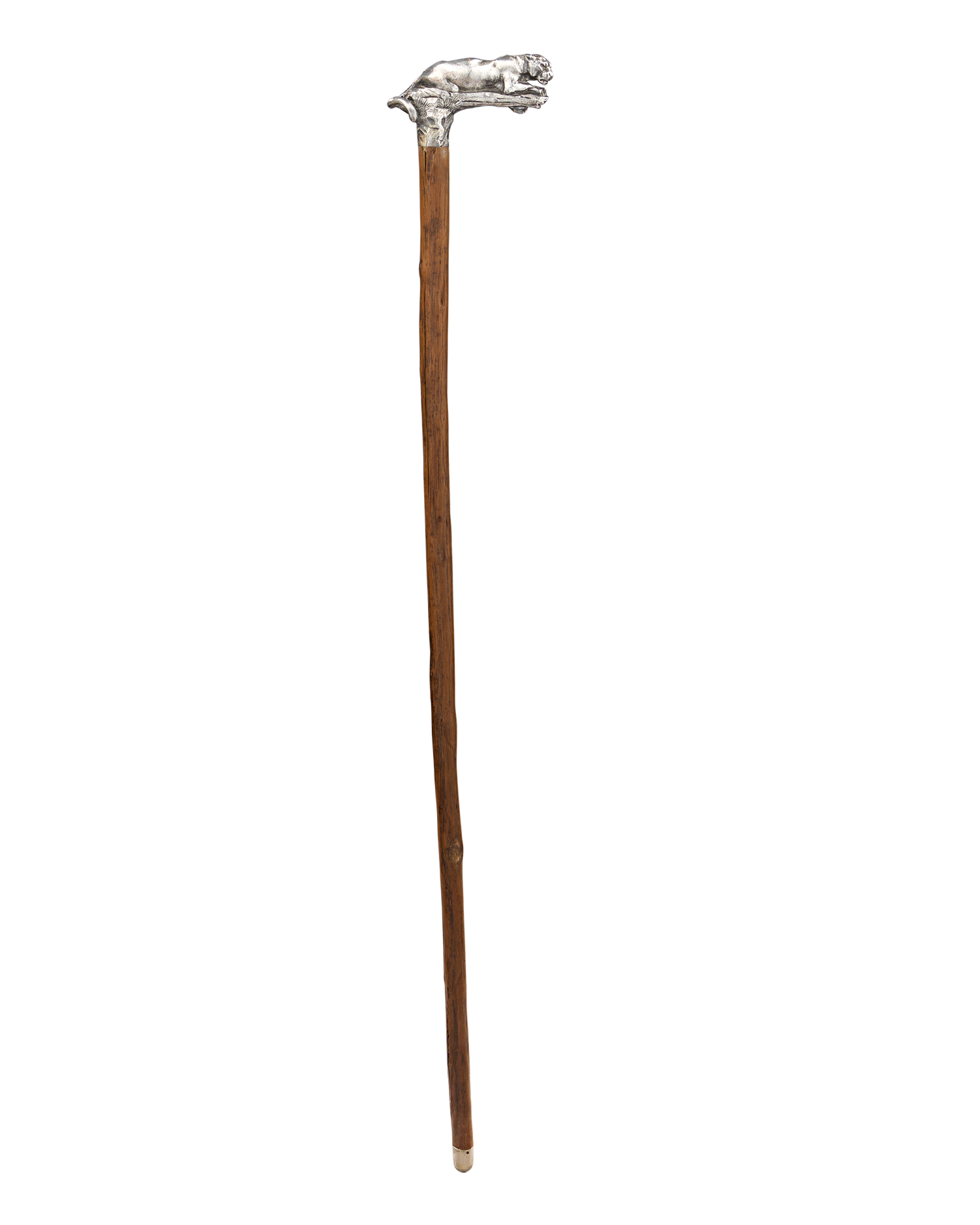 Silver Jaguar Handle Walnut Cane