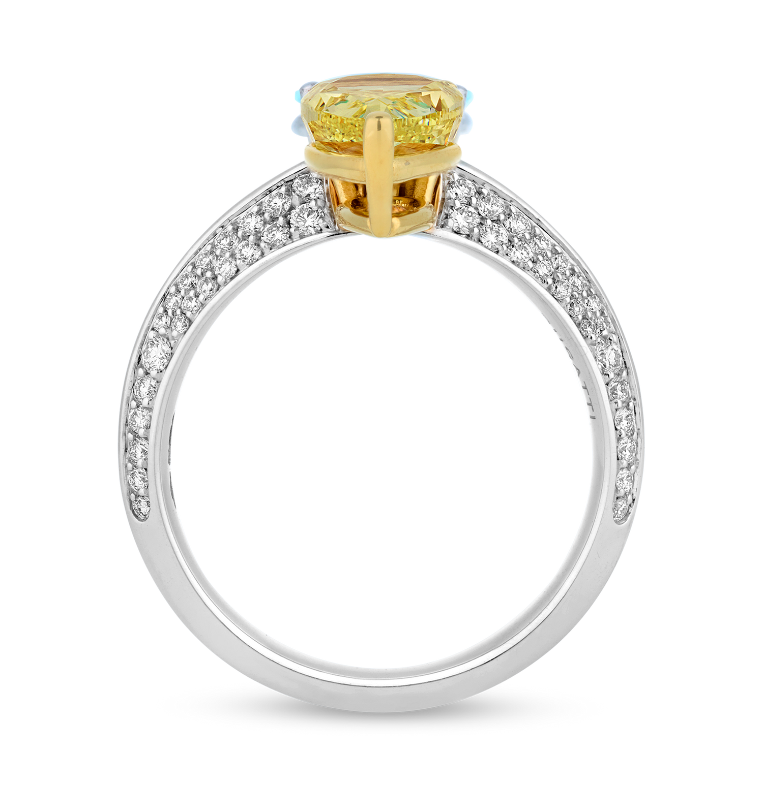 Paraiba Tourmaline and Yellow Diamond Ring