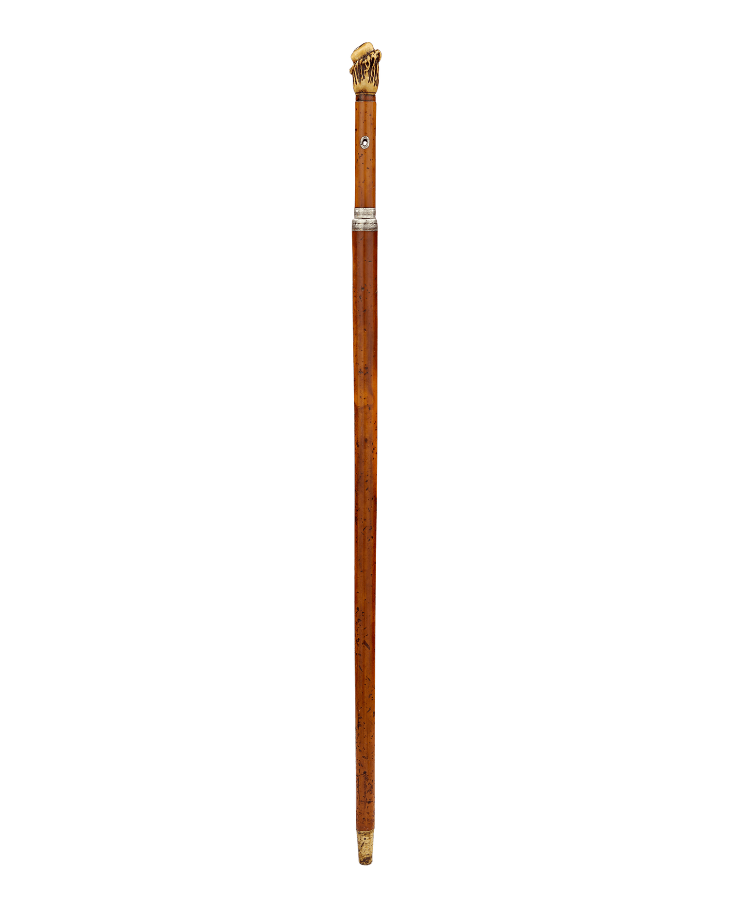 Assassin's Dagger Cane