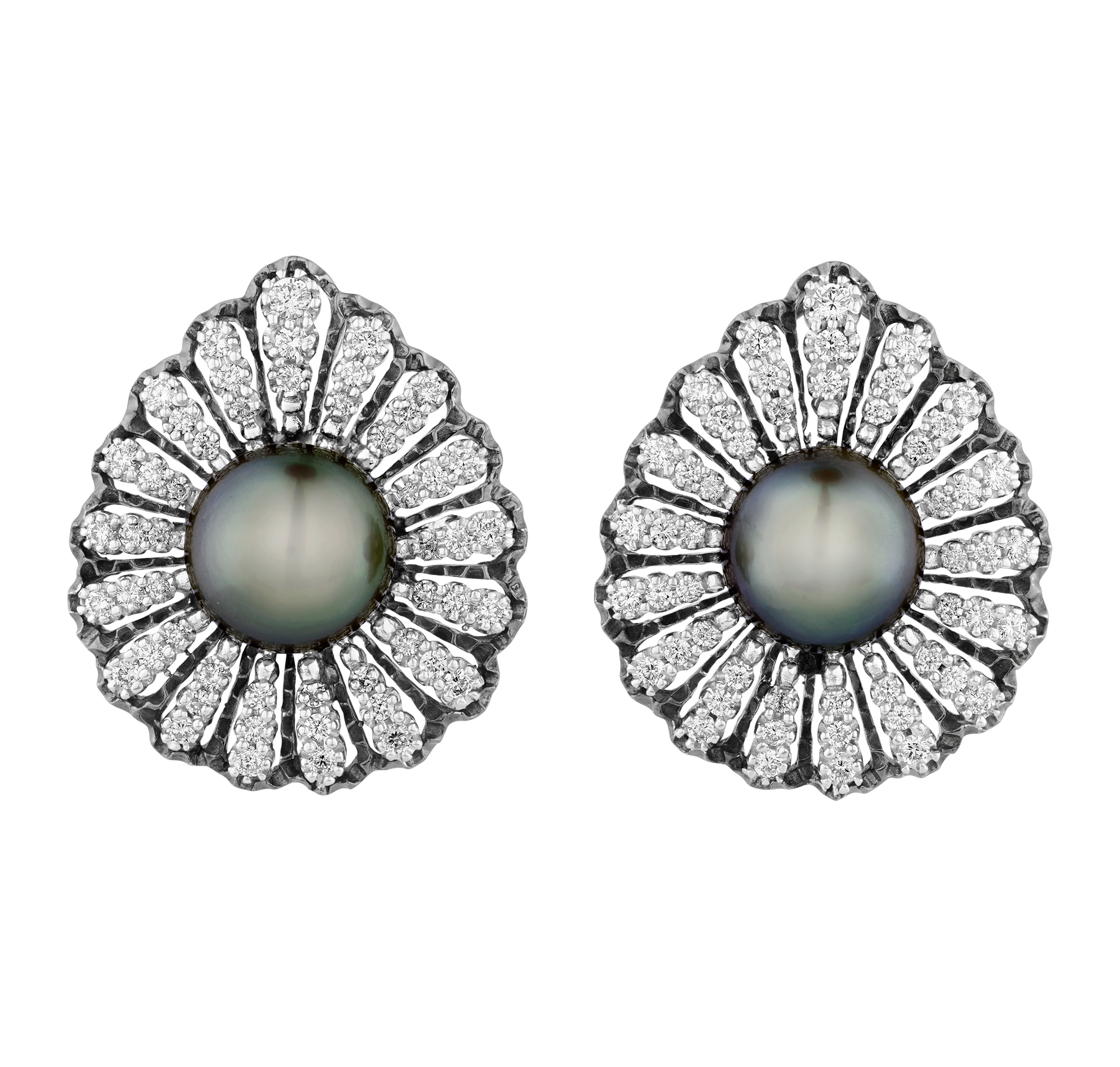 Tahitian Pearl Earrings