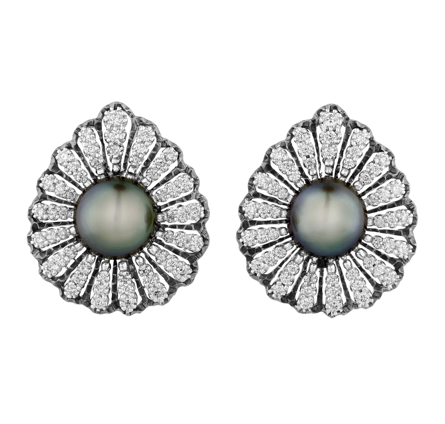 Tahitian Pearl Earrings