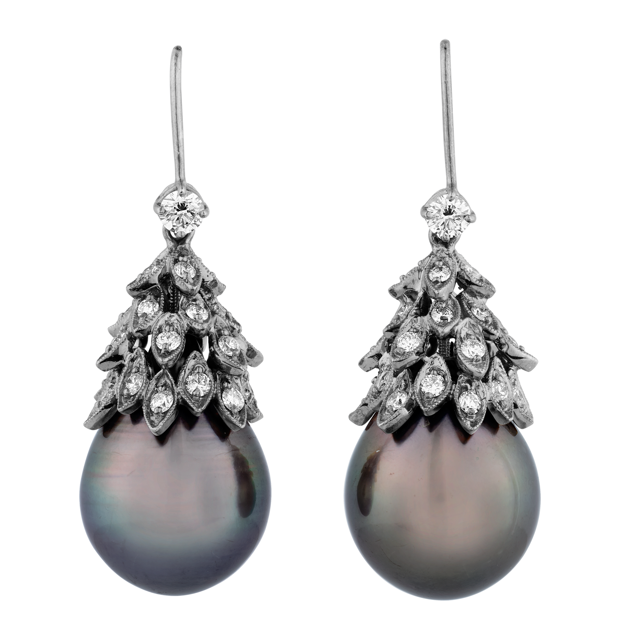 Tahitian Pearl Earrings