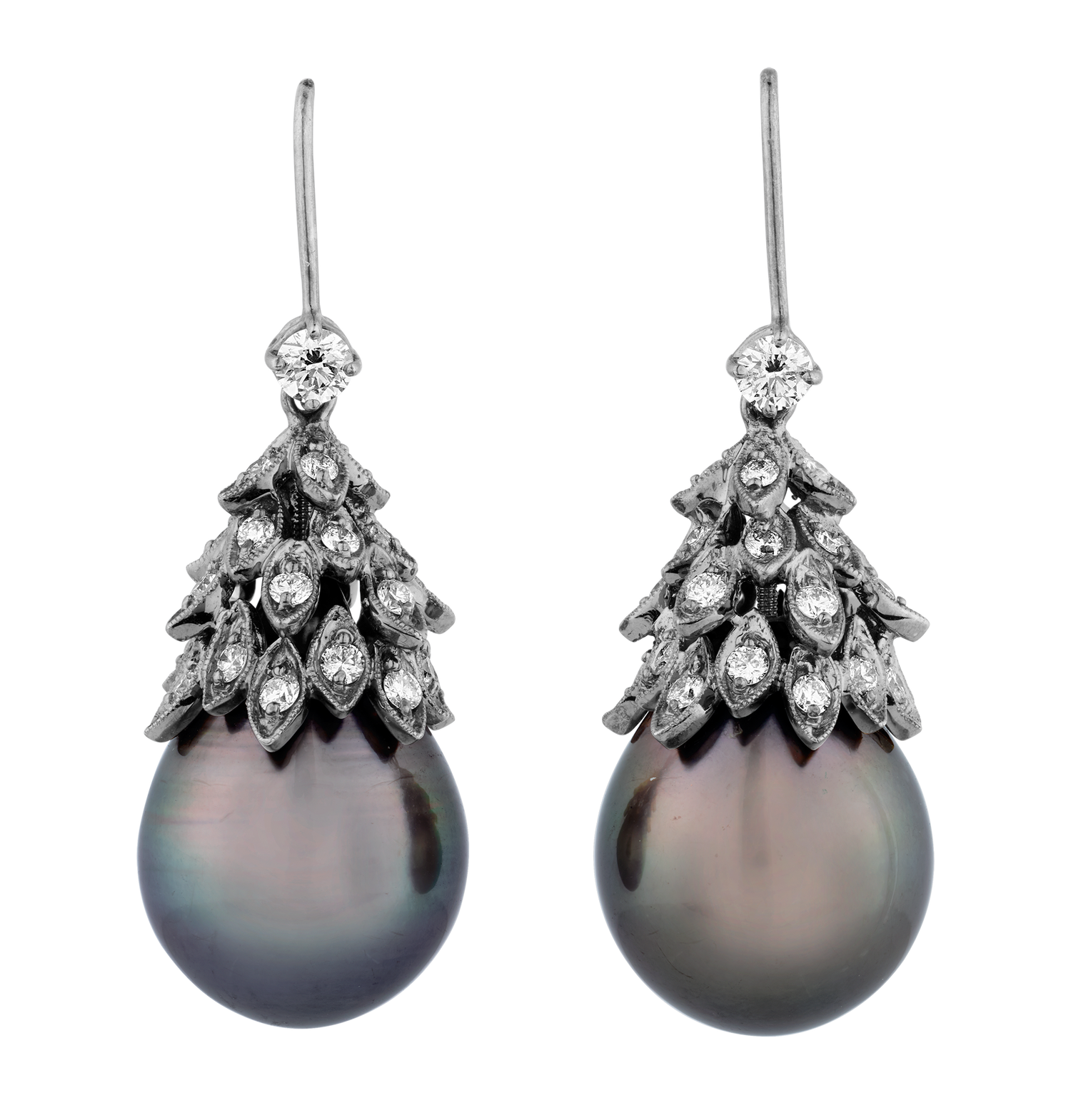 Tahitian Pearl Earrings