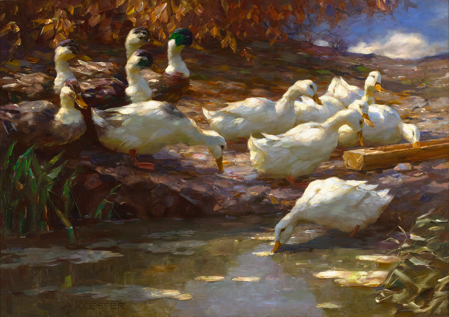 Zwölf Enten am Brünnel  by Alexander Koester