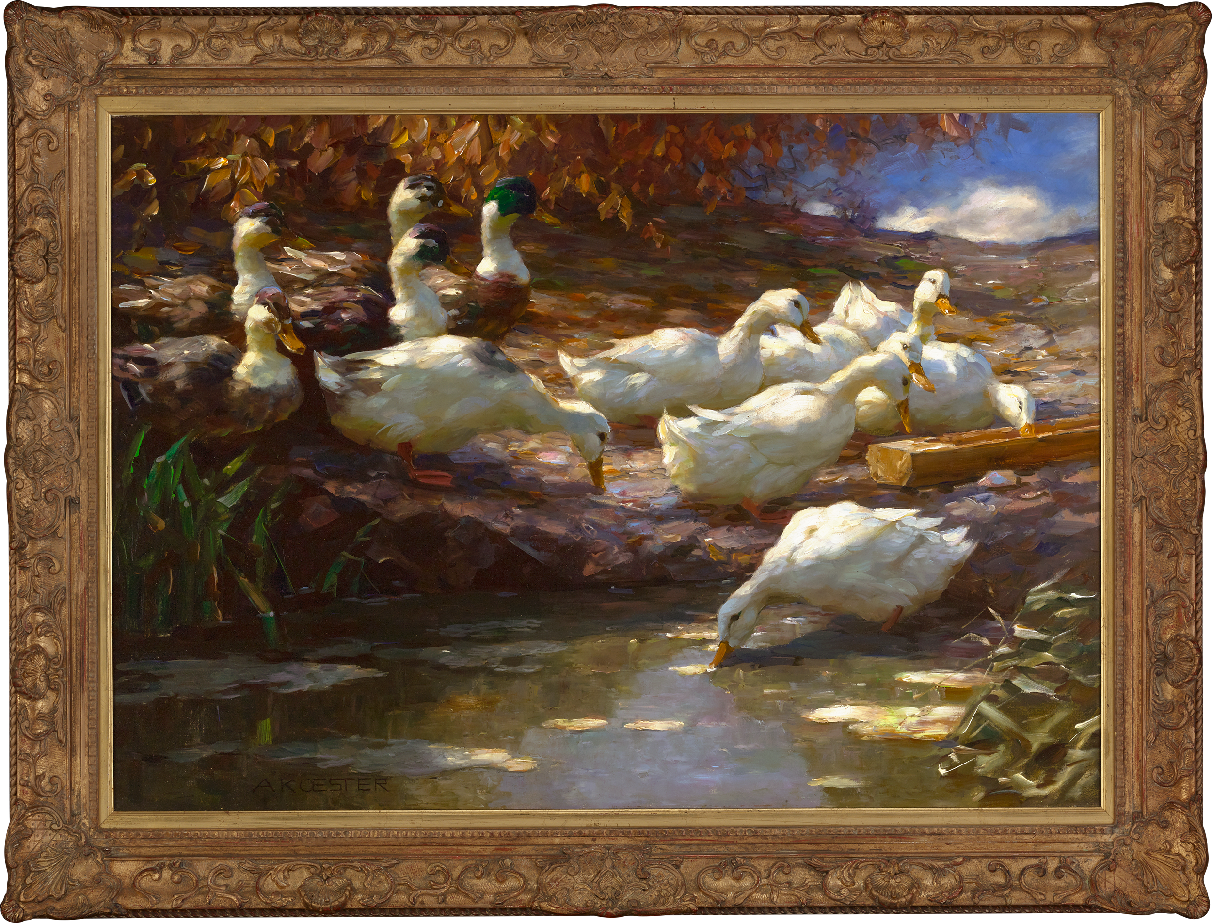 Zwölf Enten am Brünnel  by Alexander Koester