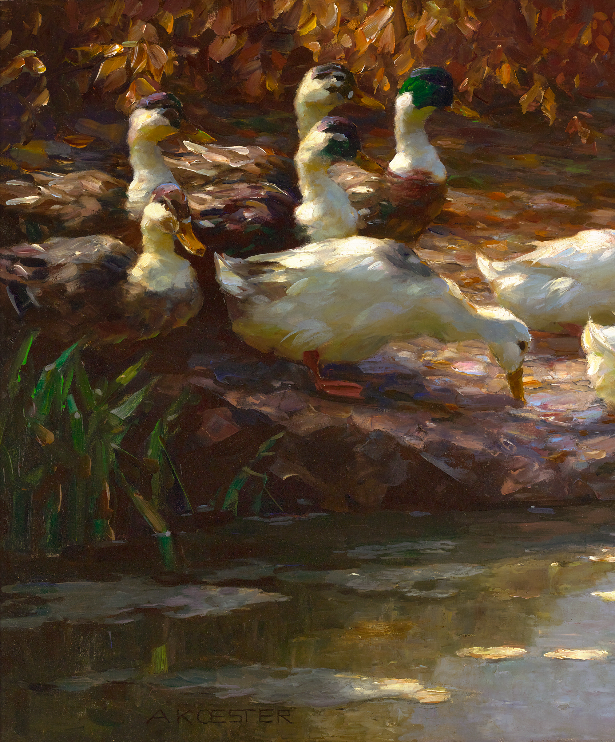 Zwölf Enten am Brünnel  by Alexander Koester