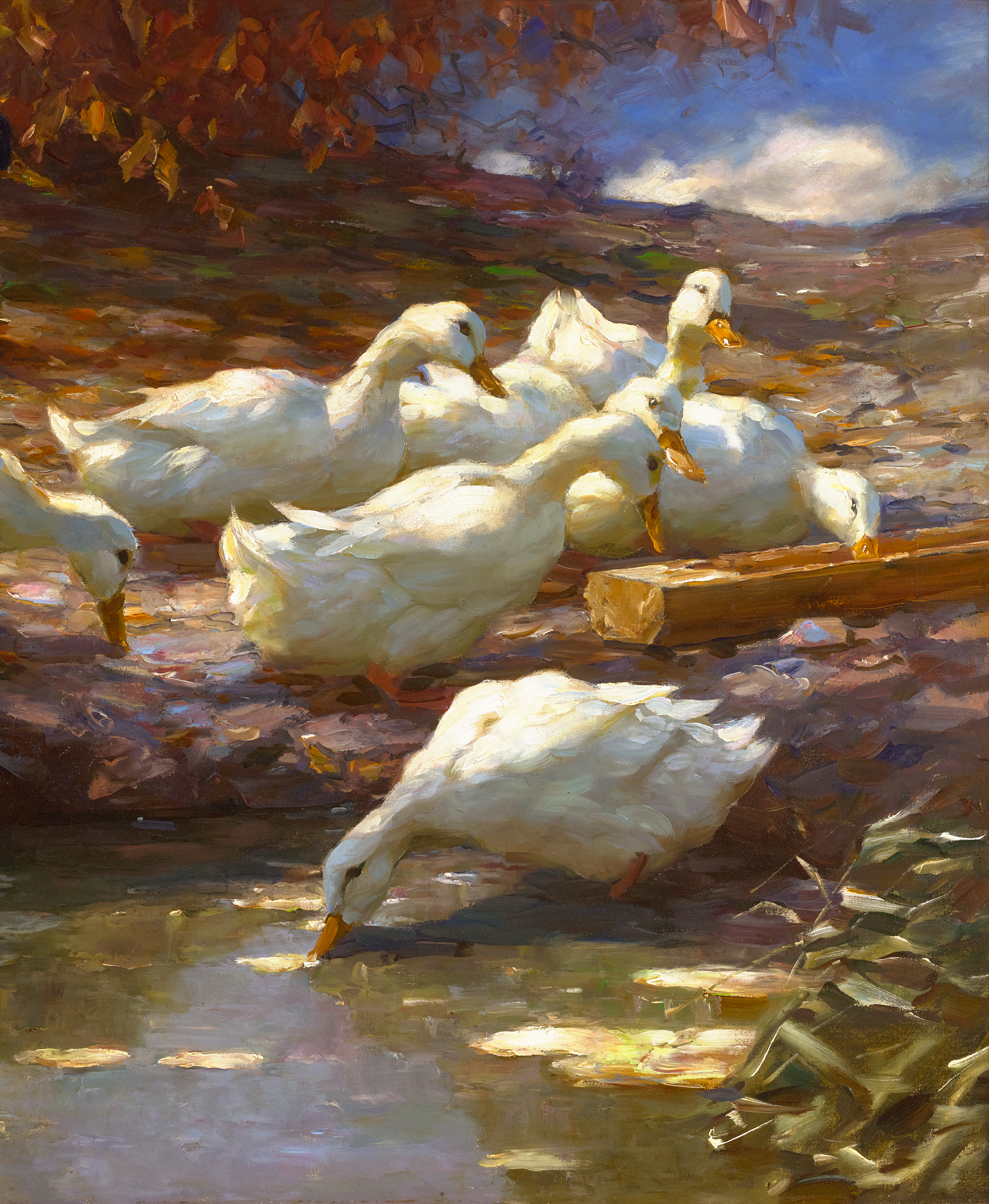 Zwölf Enten am Brünnel  by Alexander Koester