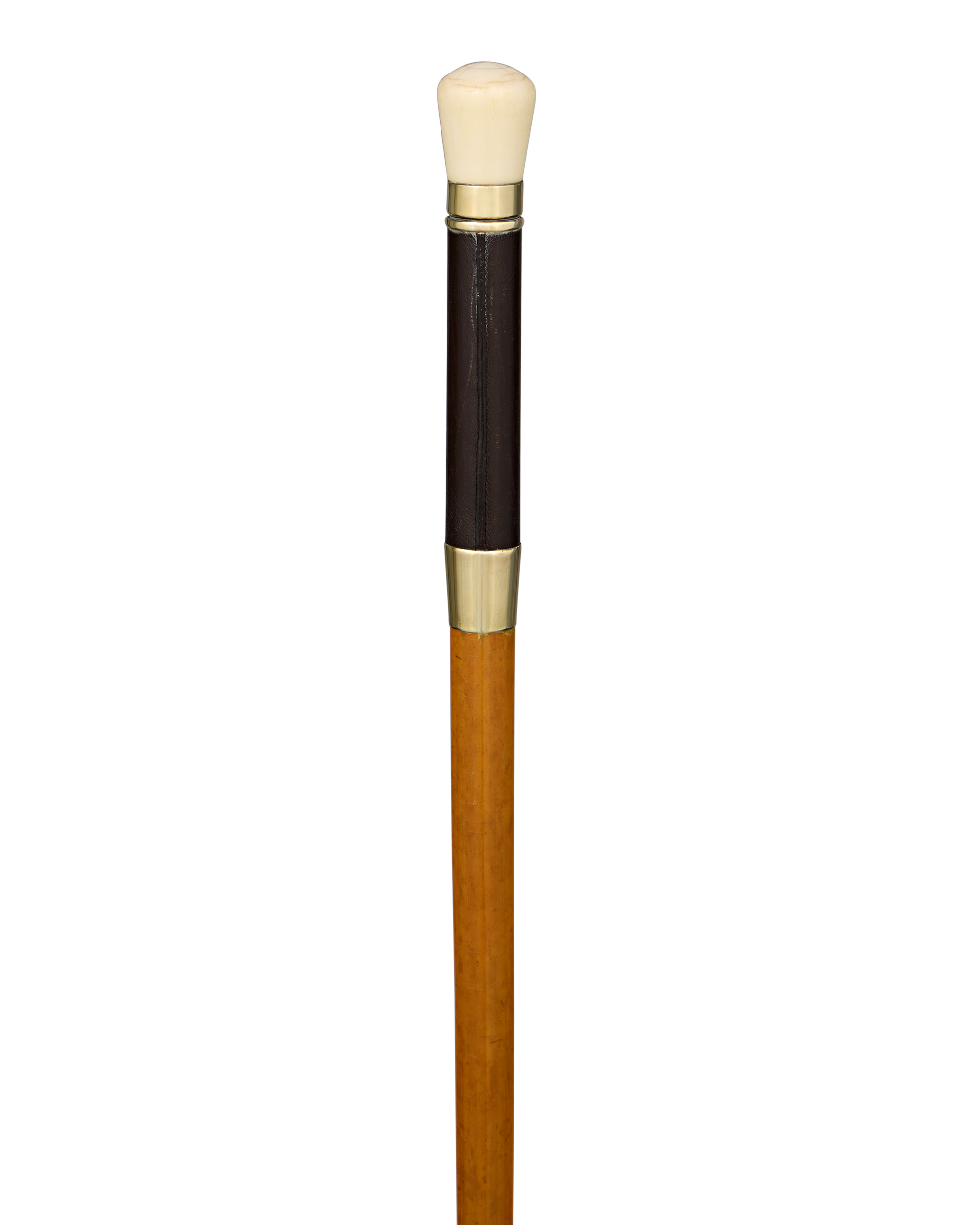 Telescope Cane