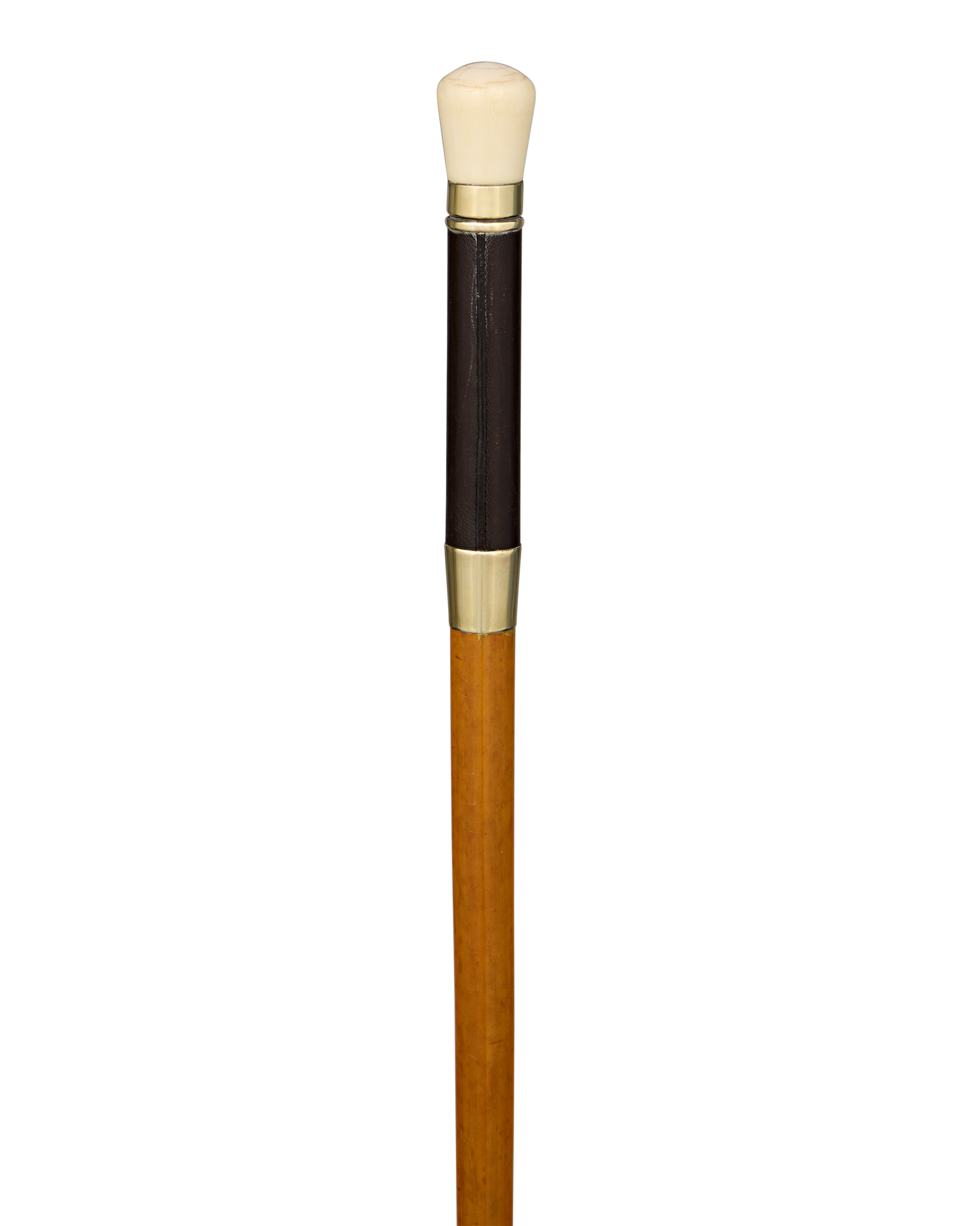 Telescope Cane