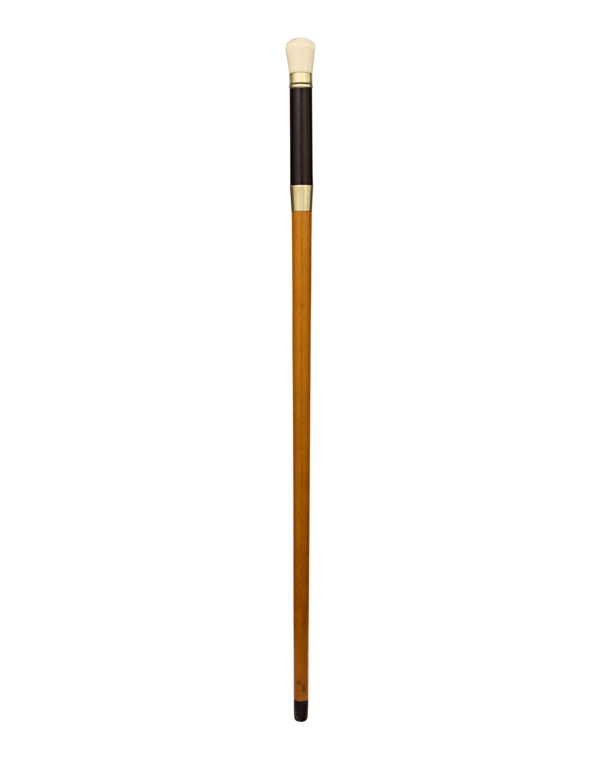 Telescope Cane