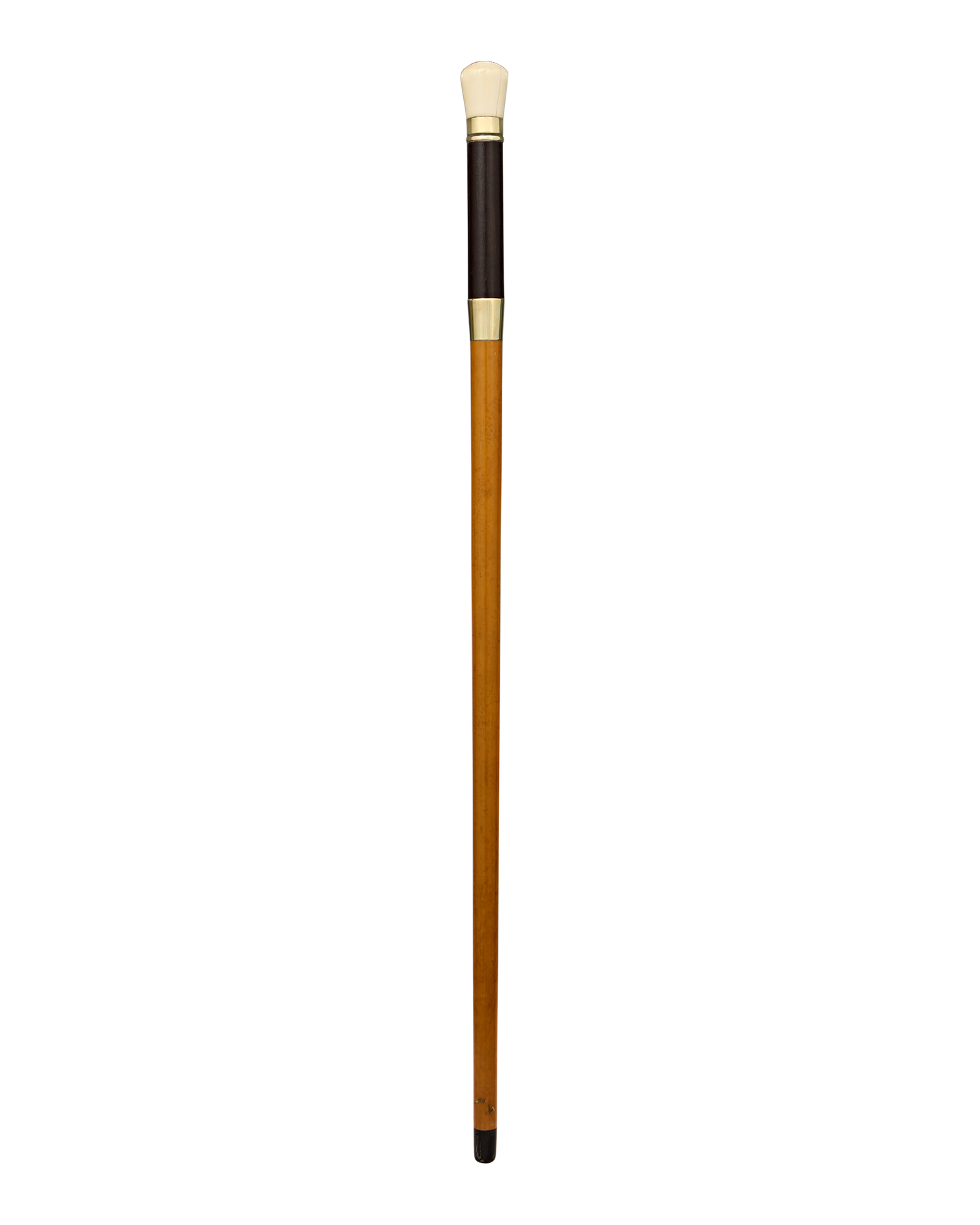 Telescope Cane