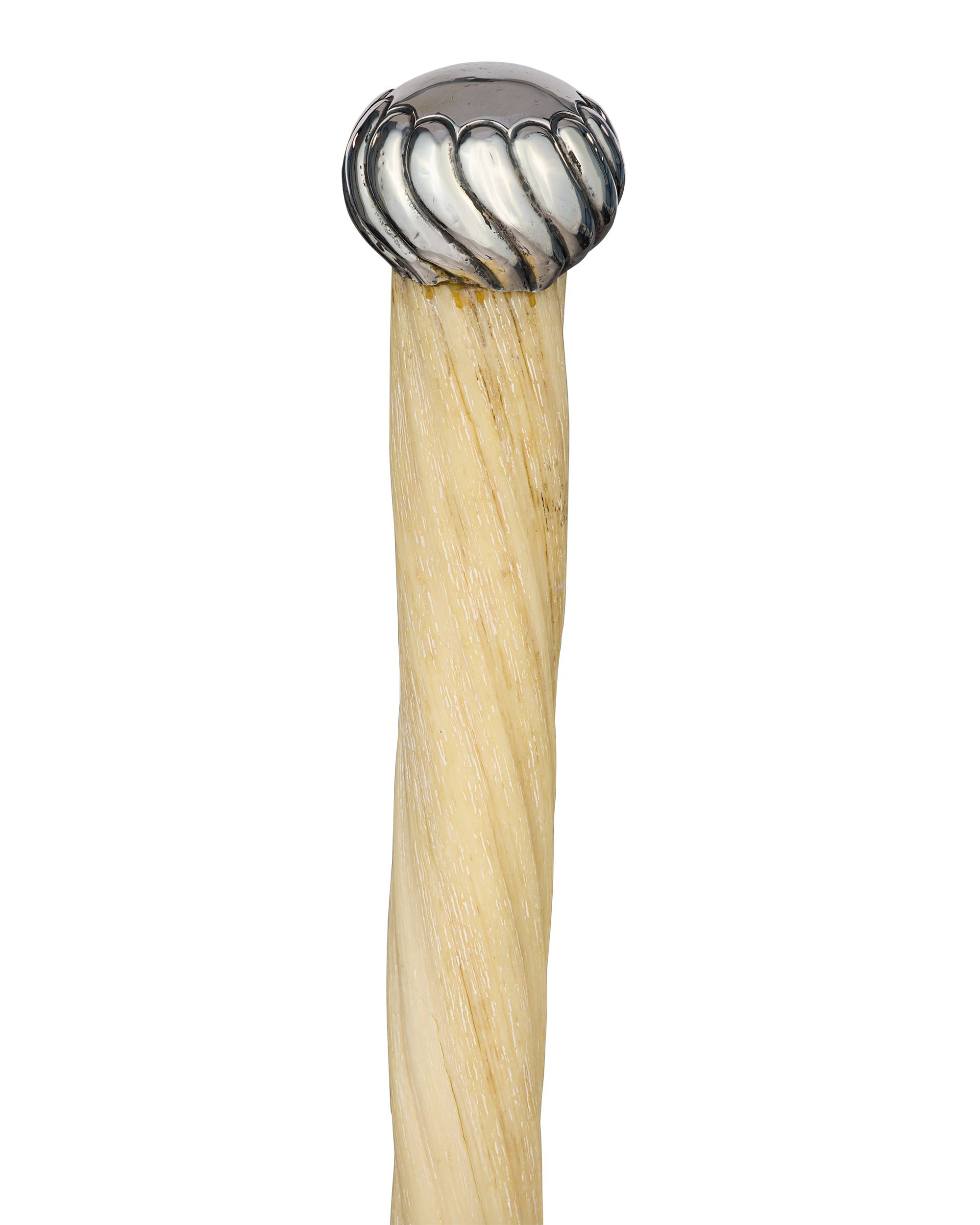 19th-Century Narwhal Cane