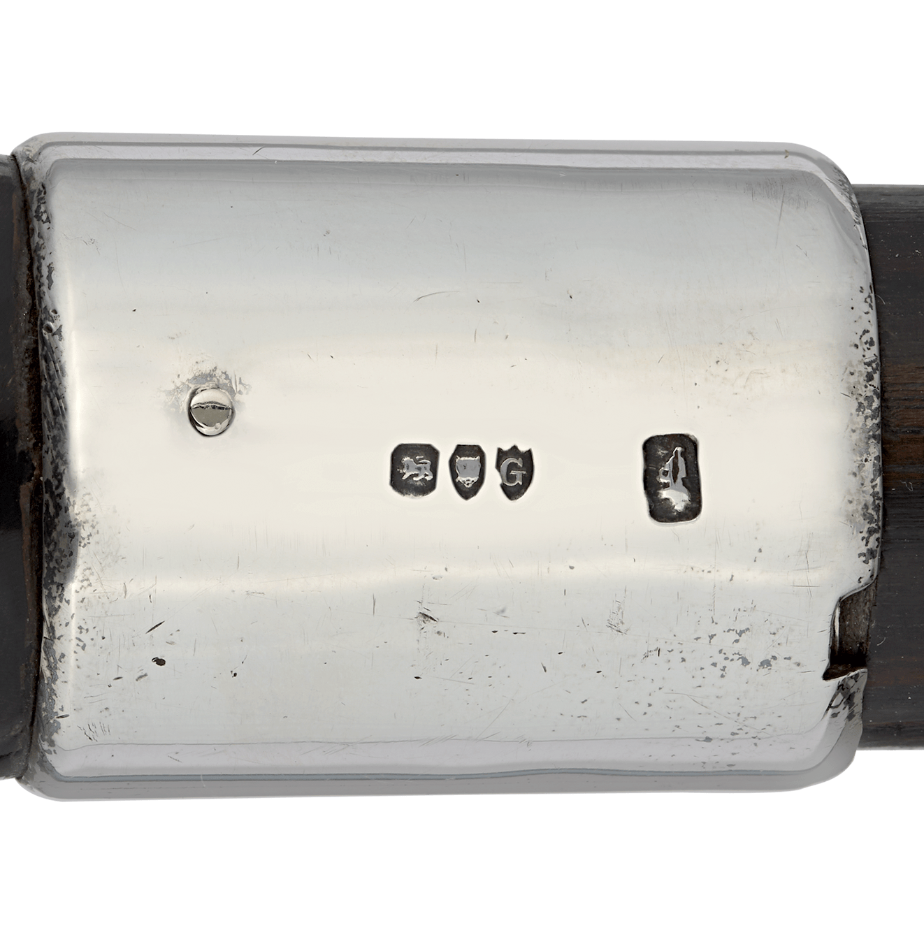 Black Horn Corkscrew Cane