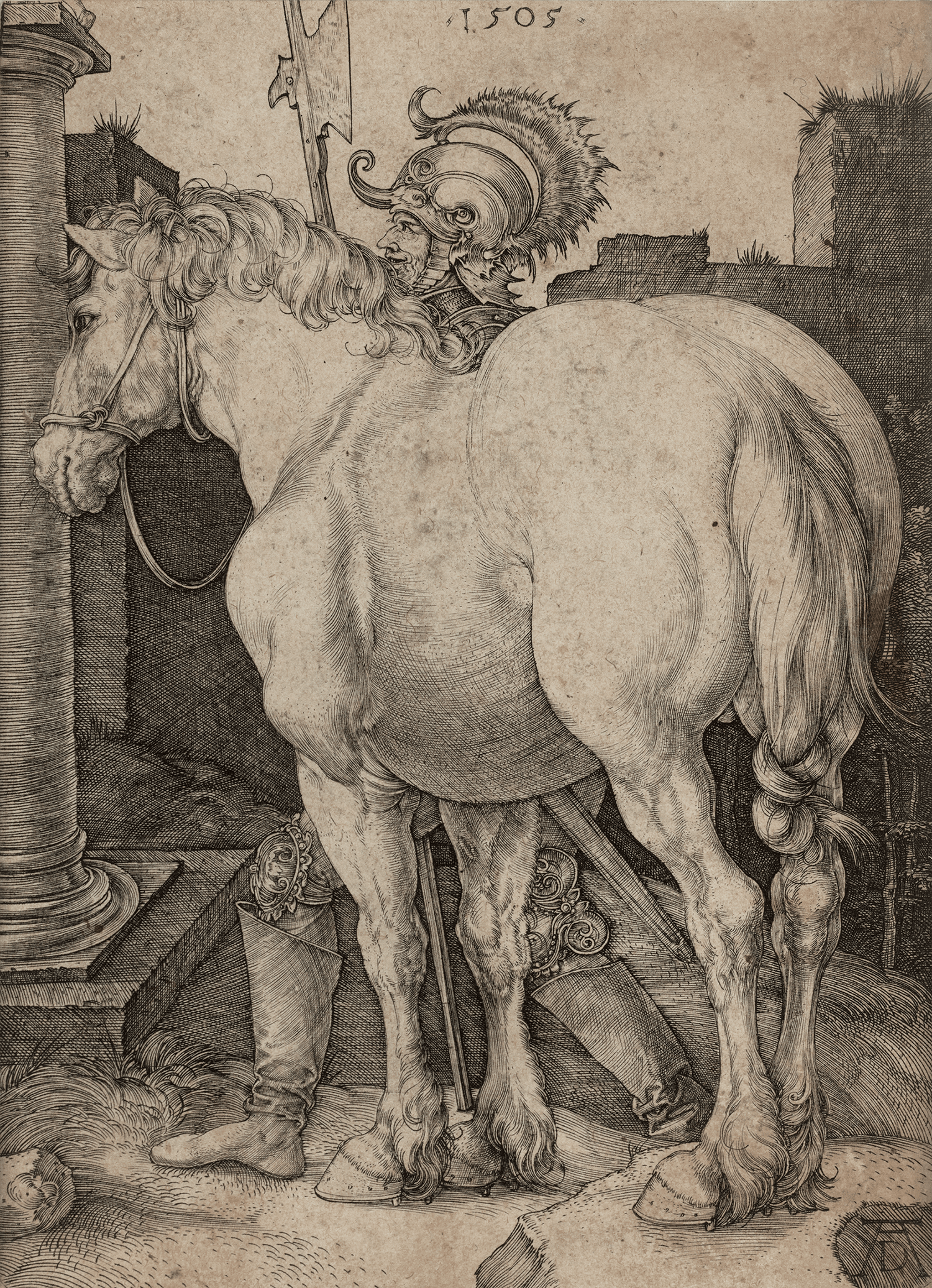 The Large Horse by Albrecht Dürer