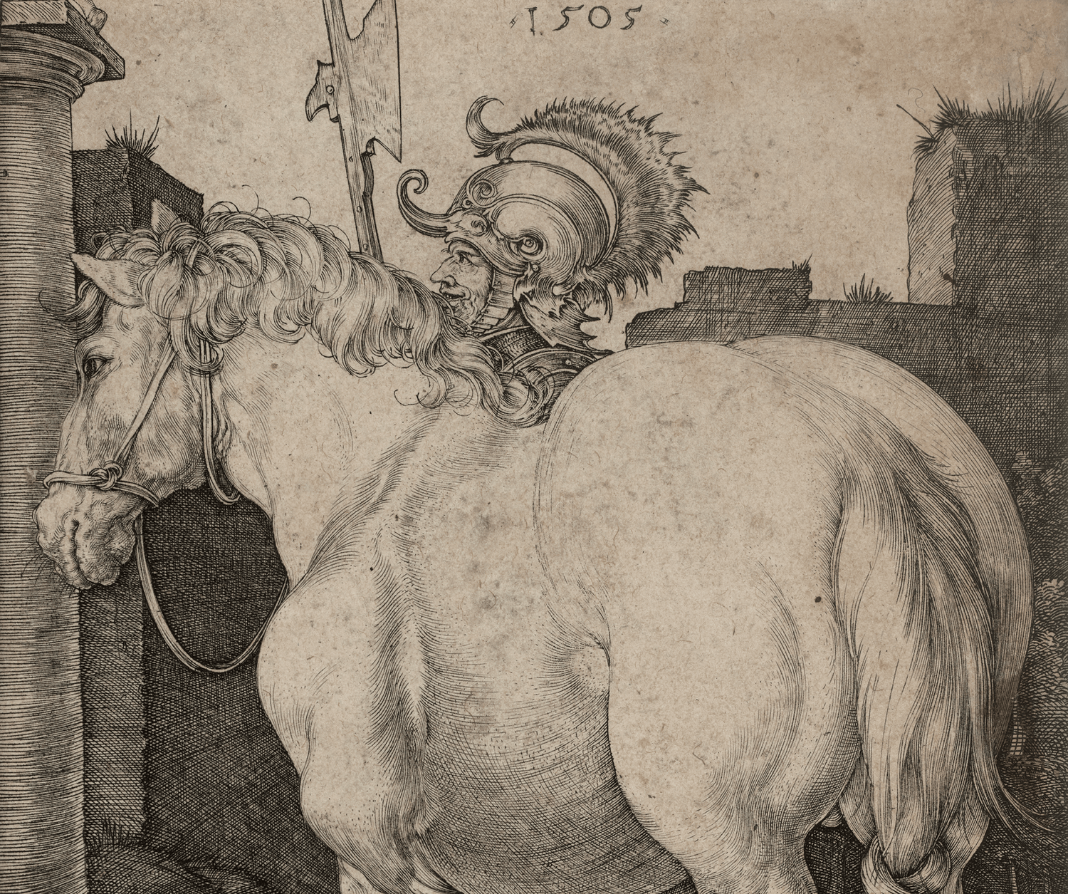 The Large Horse by Albrecht Dürer