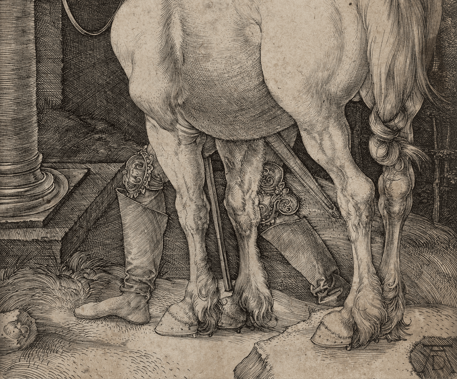 The Large Horse by Albrecht Dürer