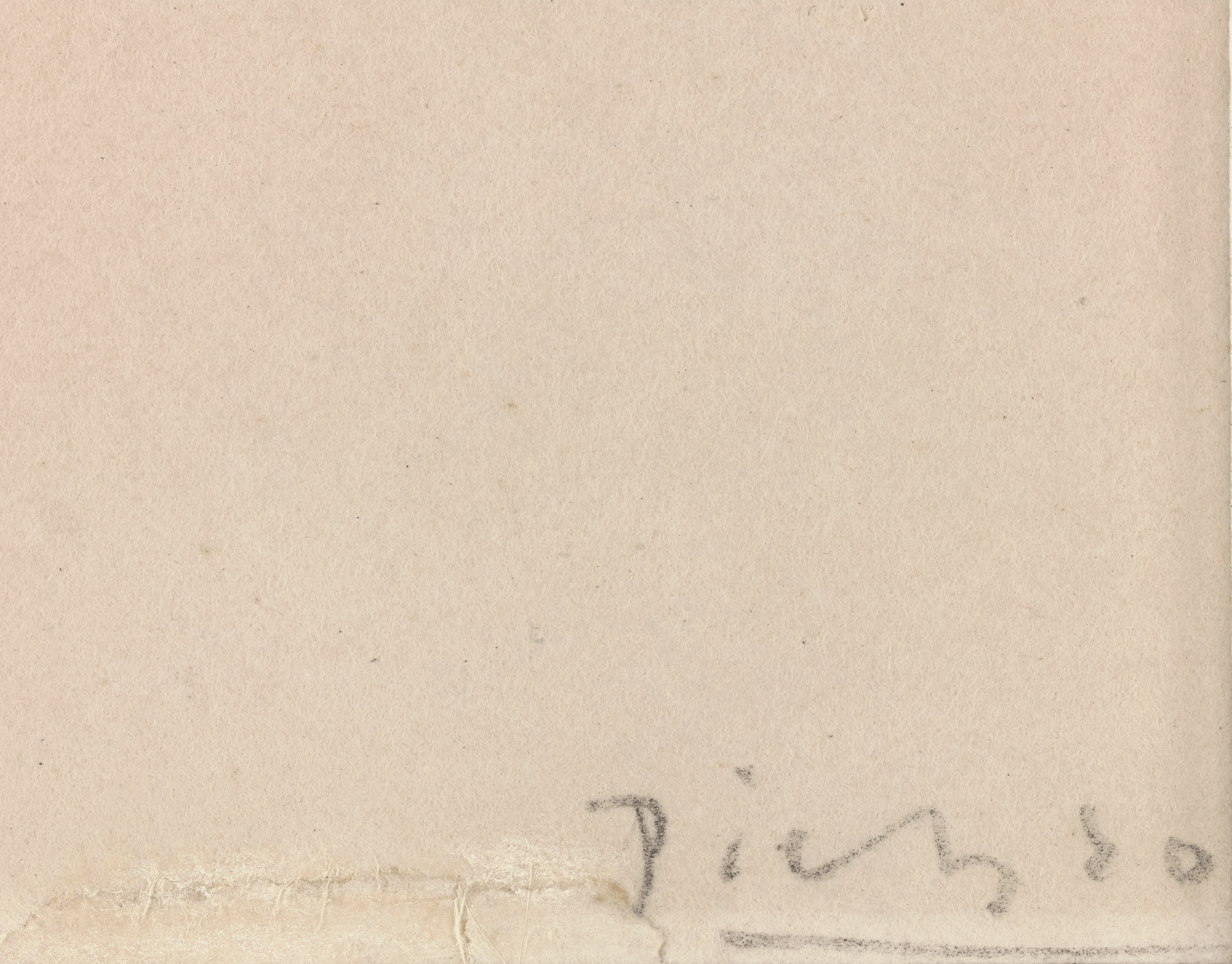 Nu tenant un miroir by Pablo Picasso