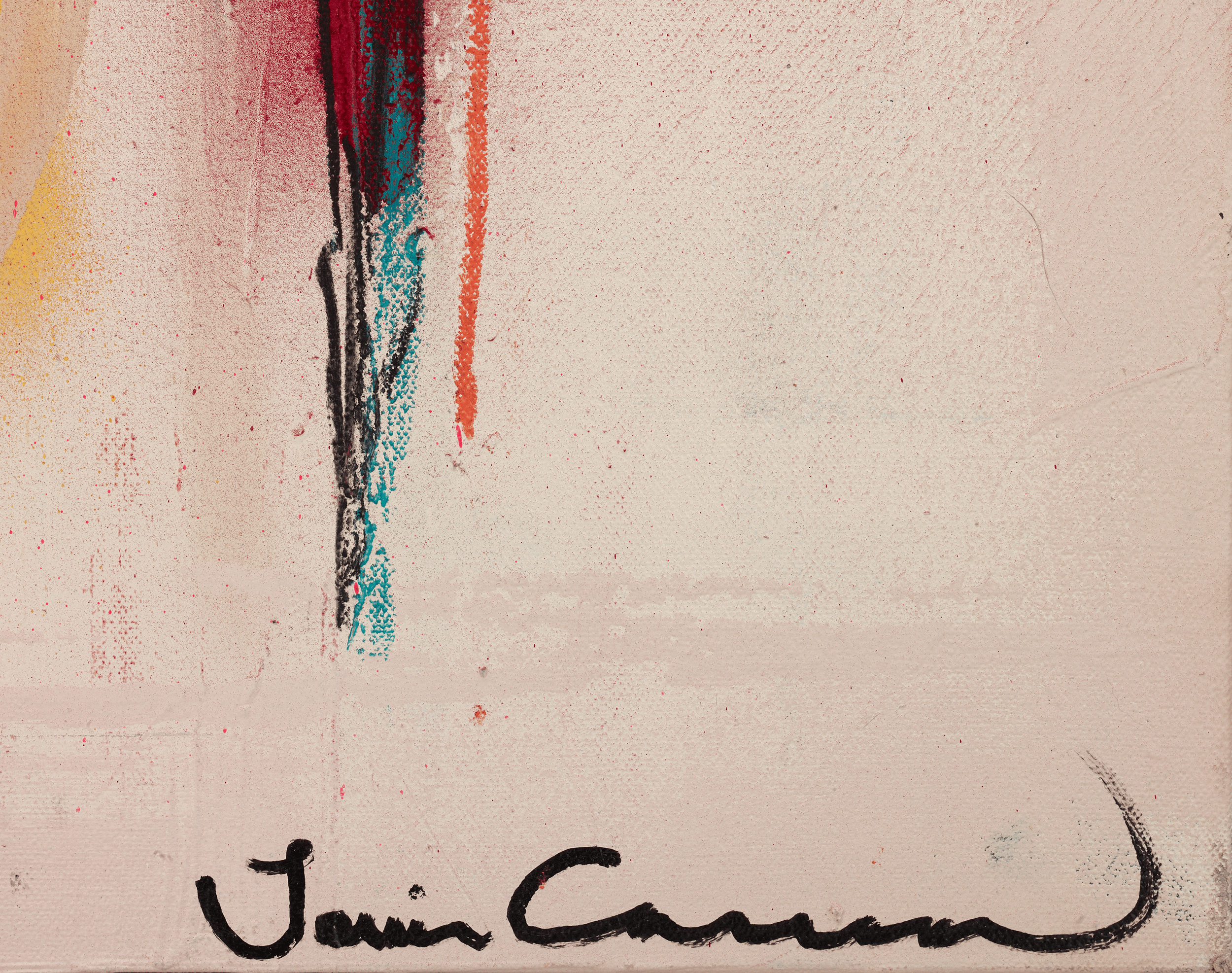 Bird by Louis Carreon