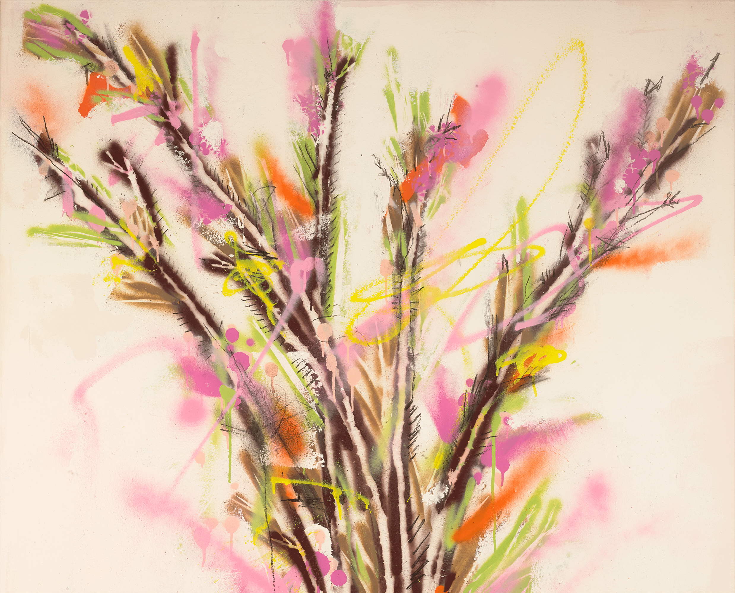 Desert Flowers Blooming by Louis Carreon