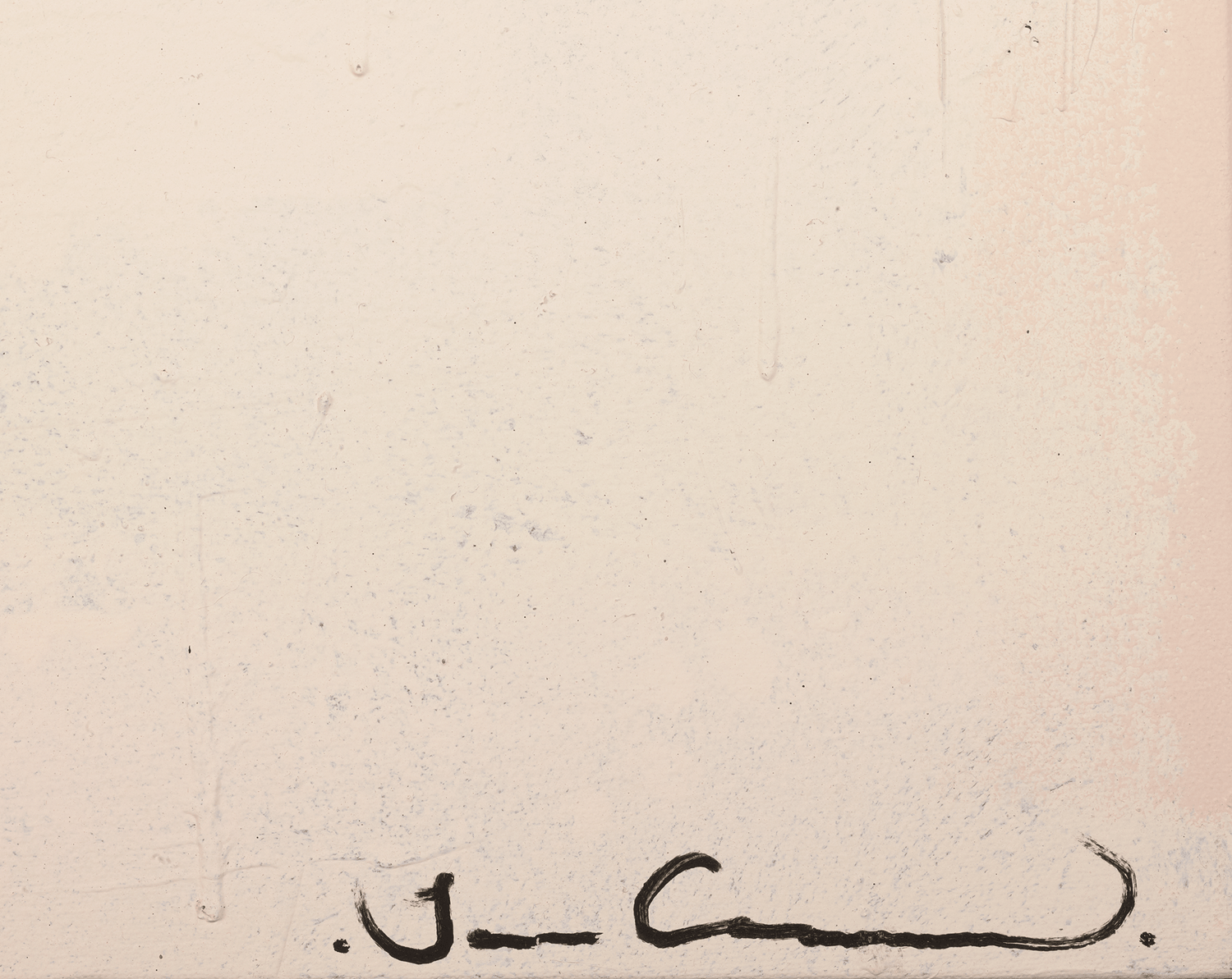 Desert Flowers Blooming by Louis Carreon