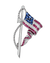 Oscar Heyman Gemstone American Flag Brooch