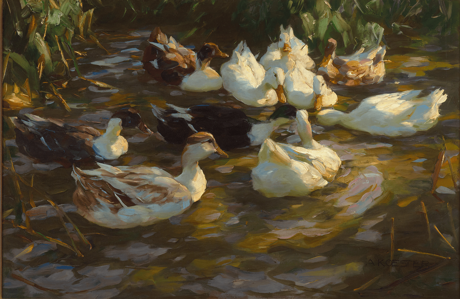 Ducks in a Pond by Alexander Koester