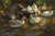 Ducks in a Pond by Alexander Koester