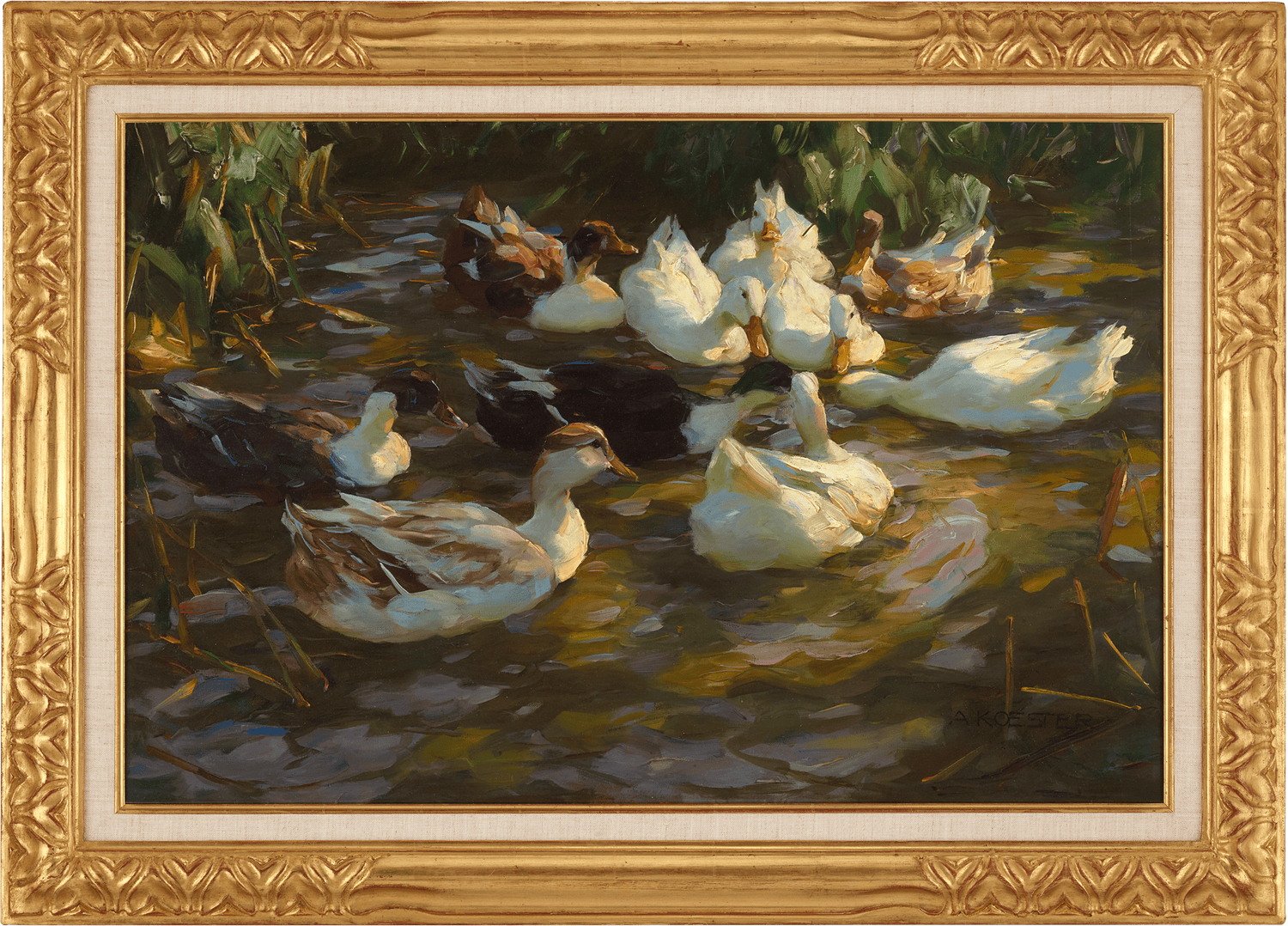 Ducks in a Pond by Alexander Koester