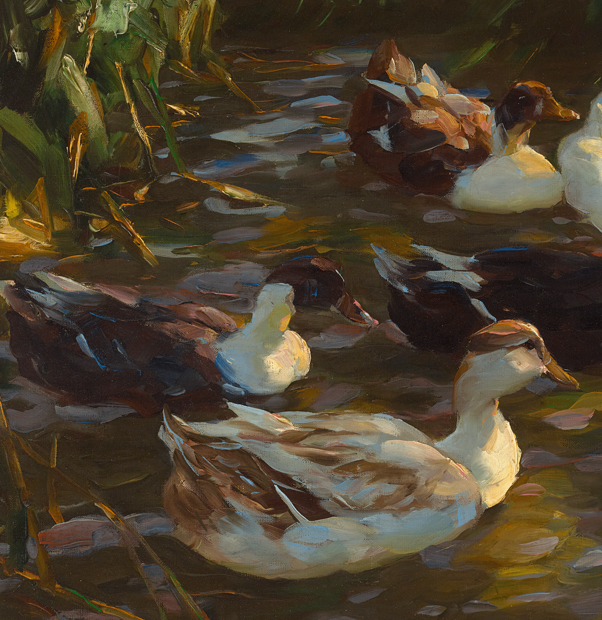 Ducks in a Pond by Alexander Koester