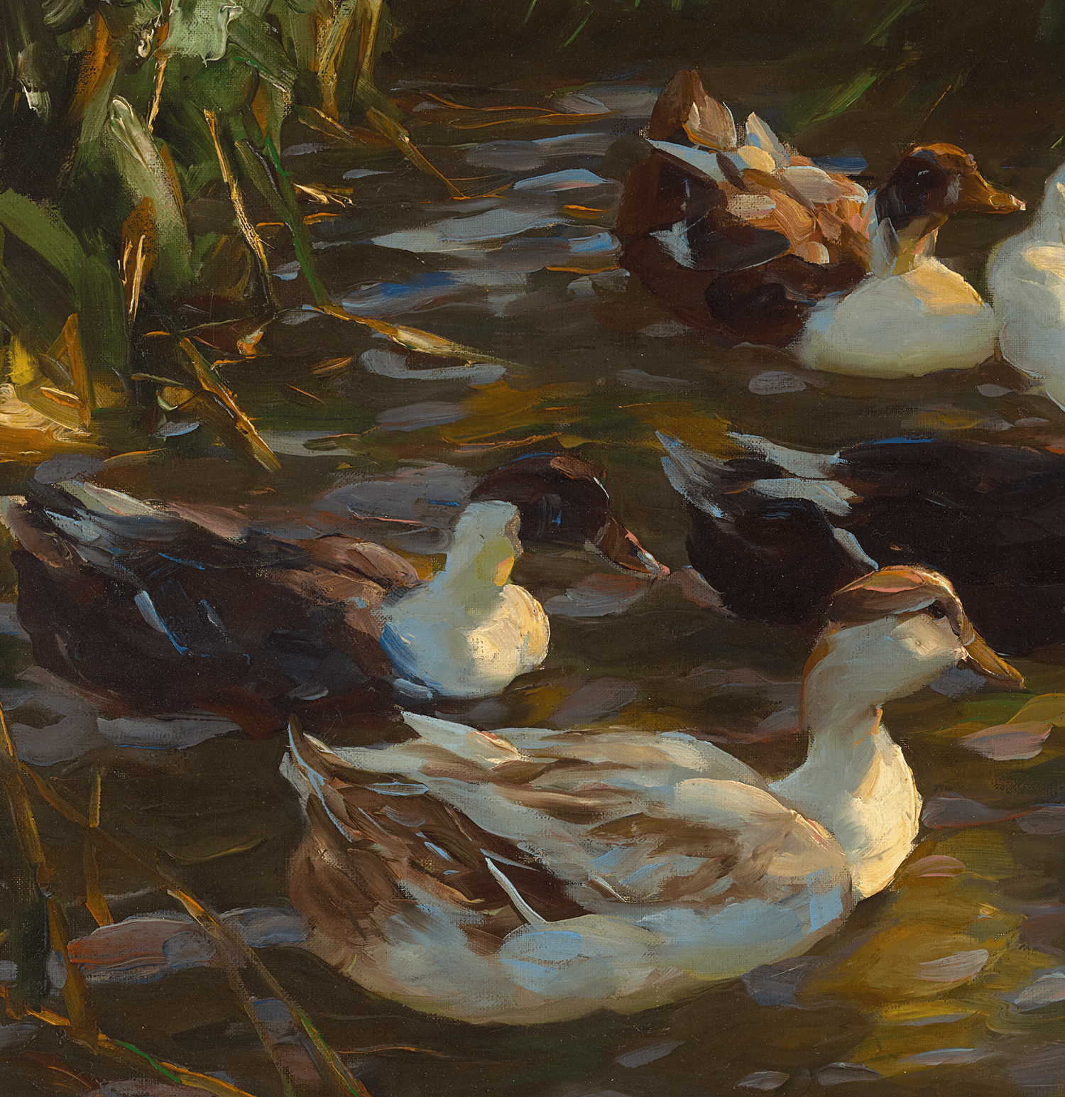 Ducks in a Pond by Alexander Koester
